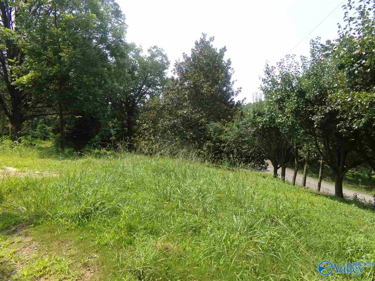 910 Swinging Bridge Road