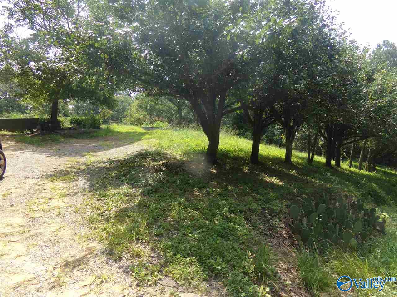 910 Swinging Bridge Road