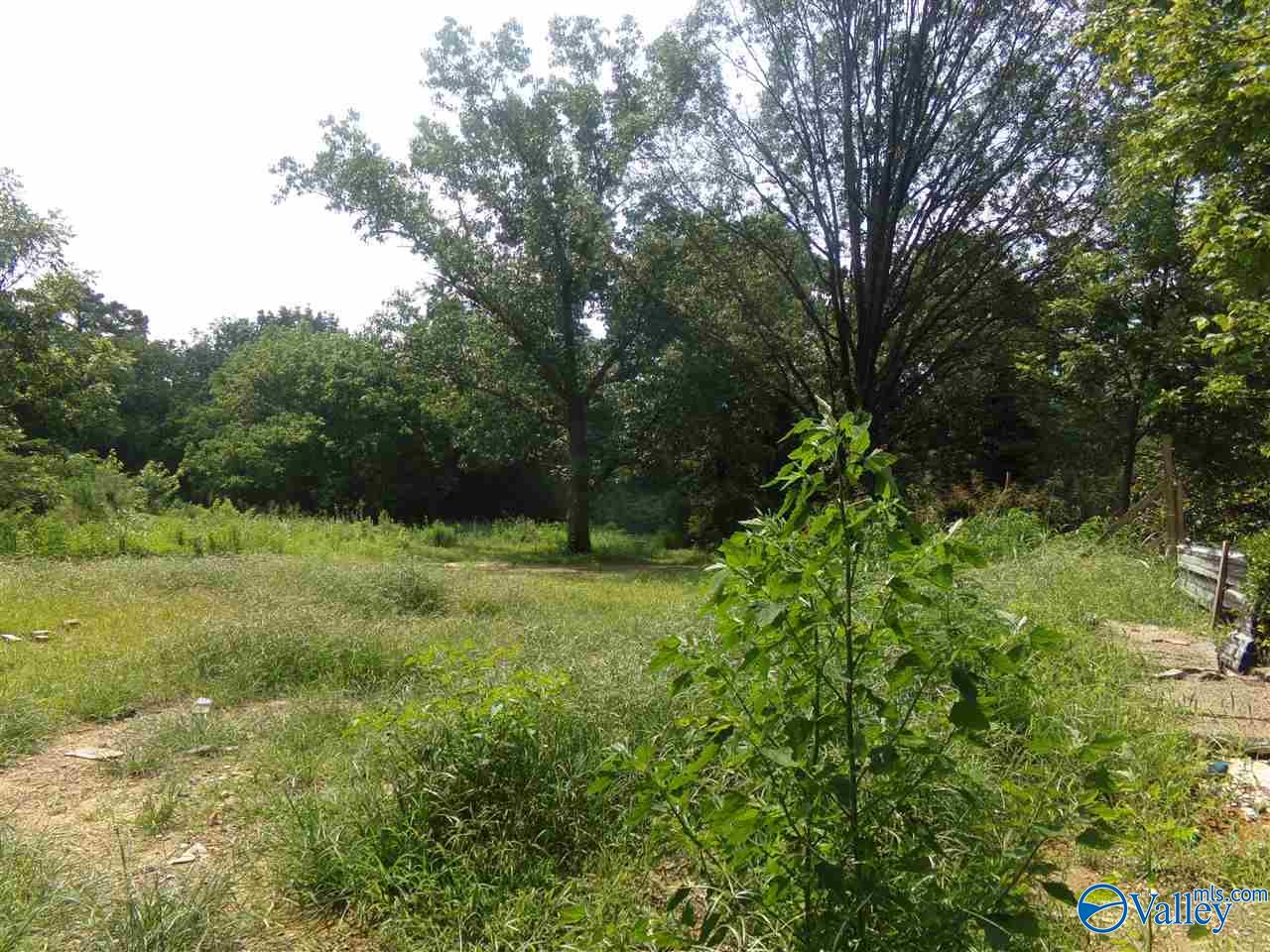 910 Swinging Bridge Road