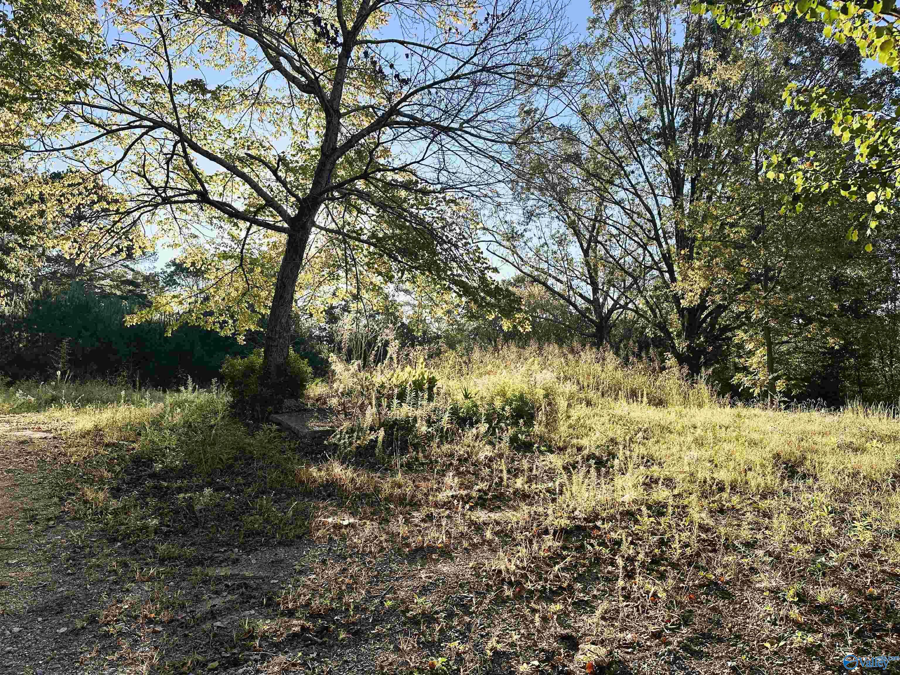 886 Swinging Bridge Road