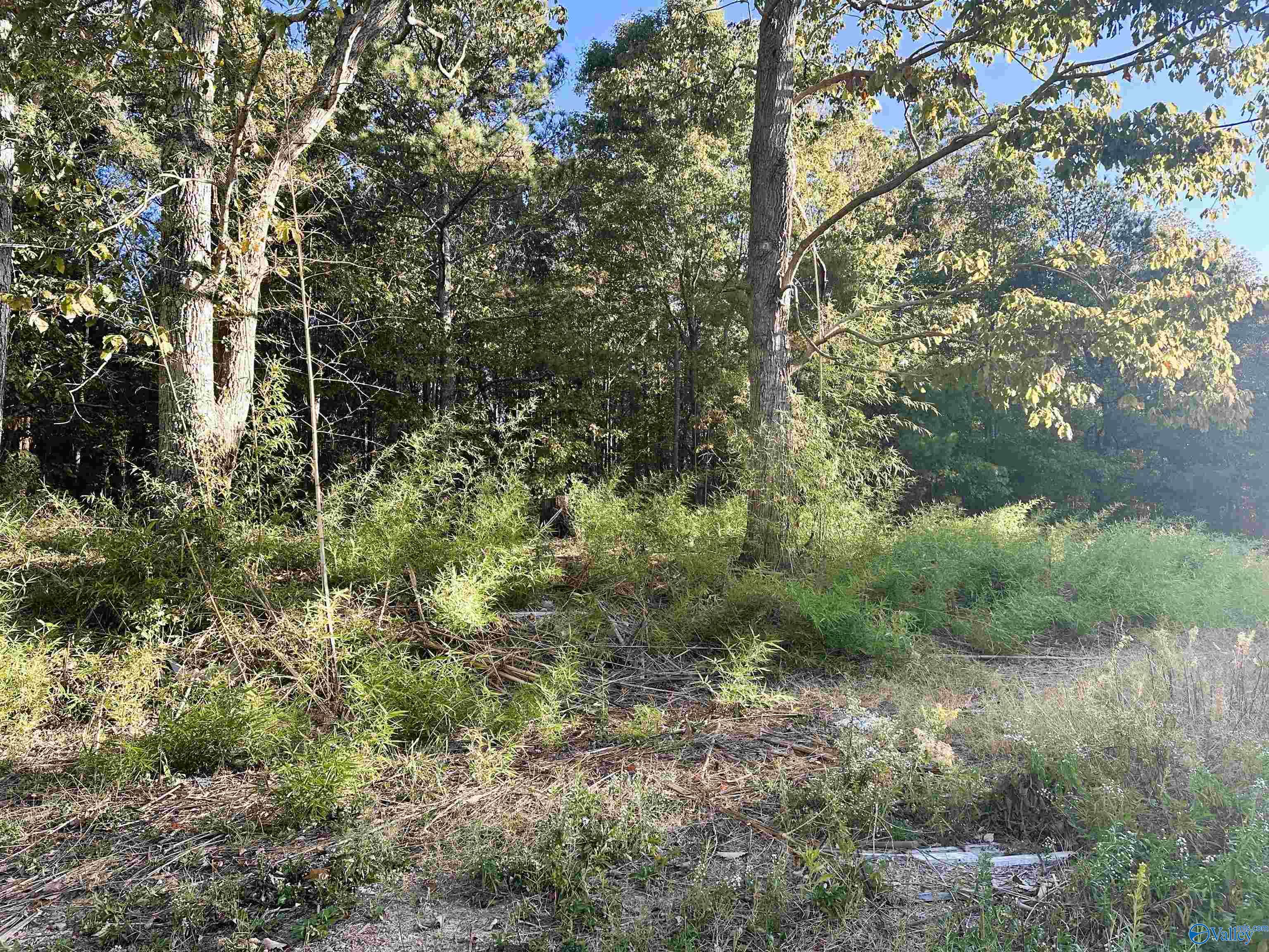 886 Swinging Bridge Road