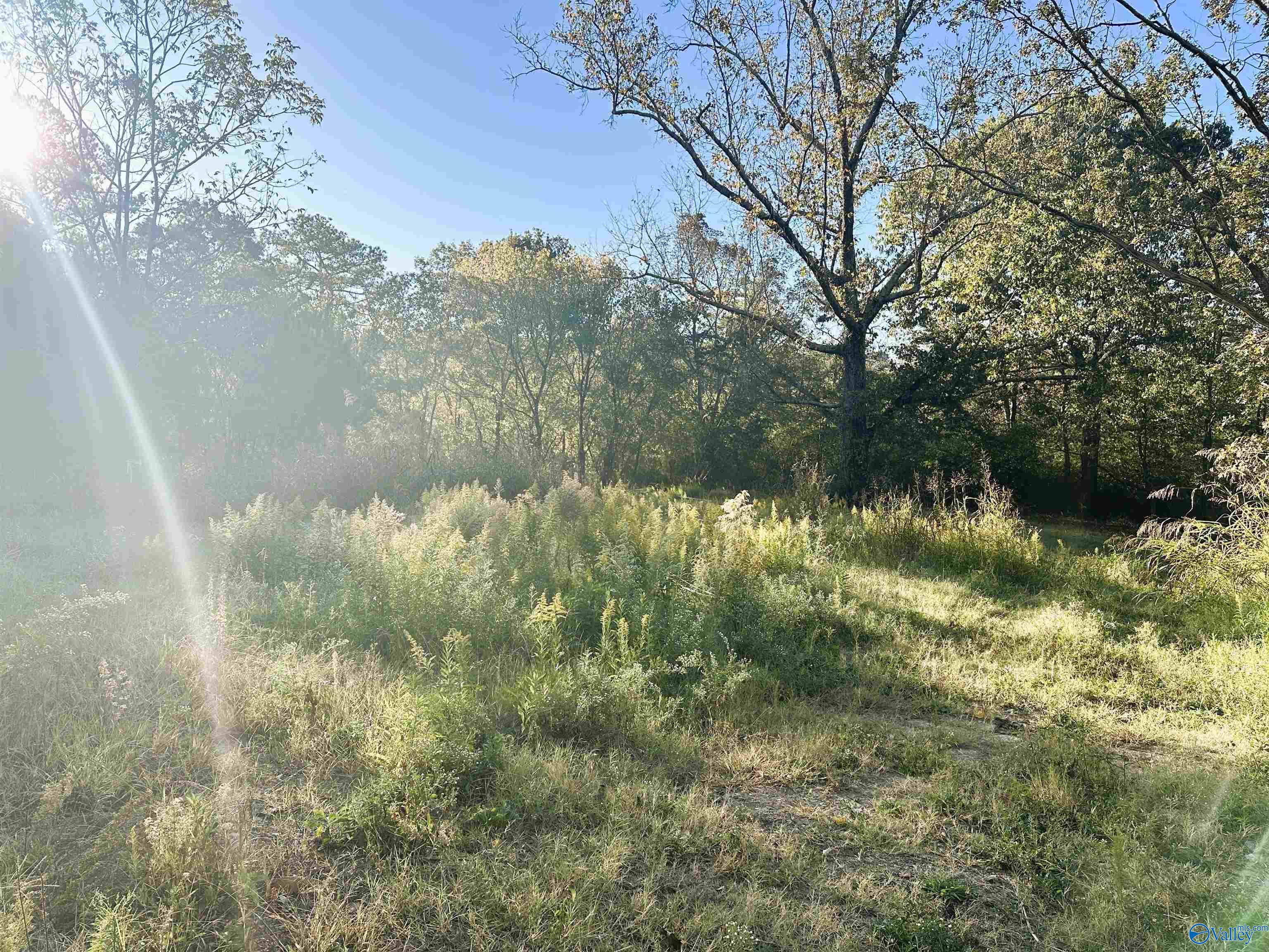 886 Swinging Bridge Road