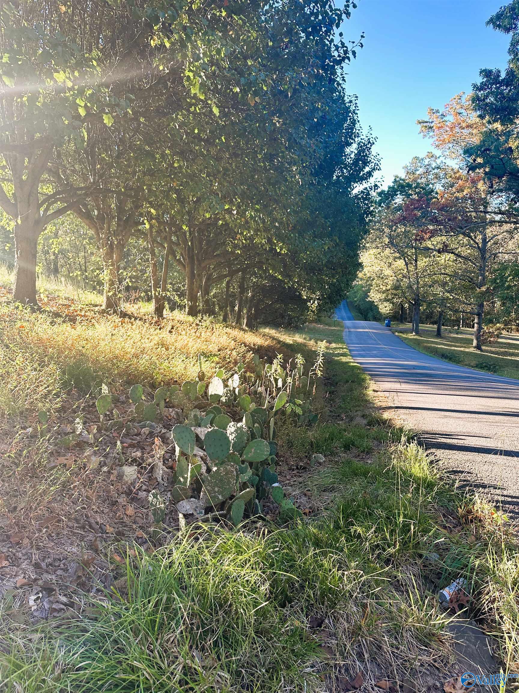 886 Swinging Bridge Road