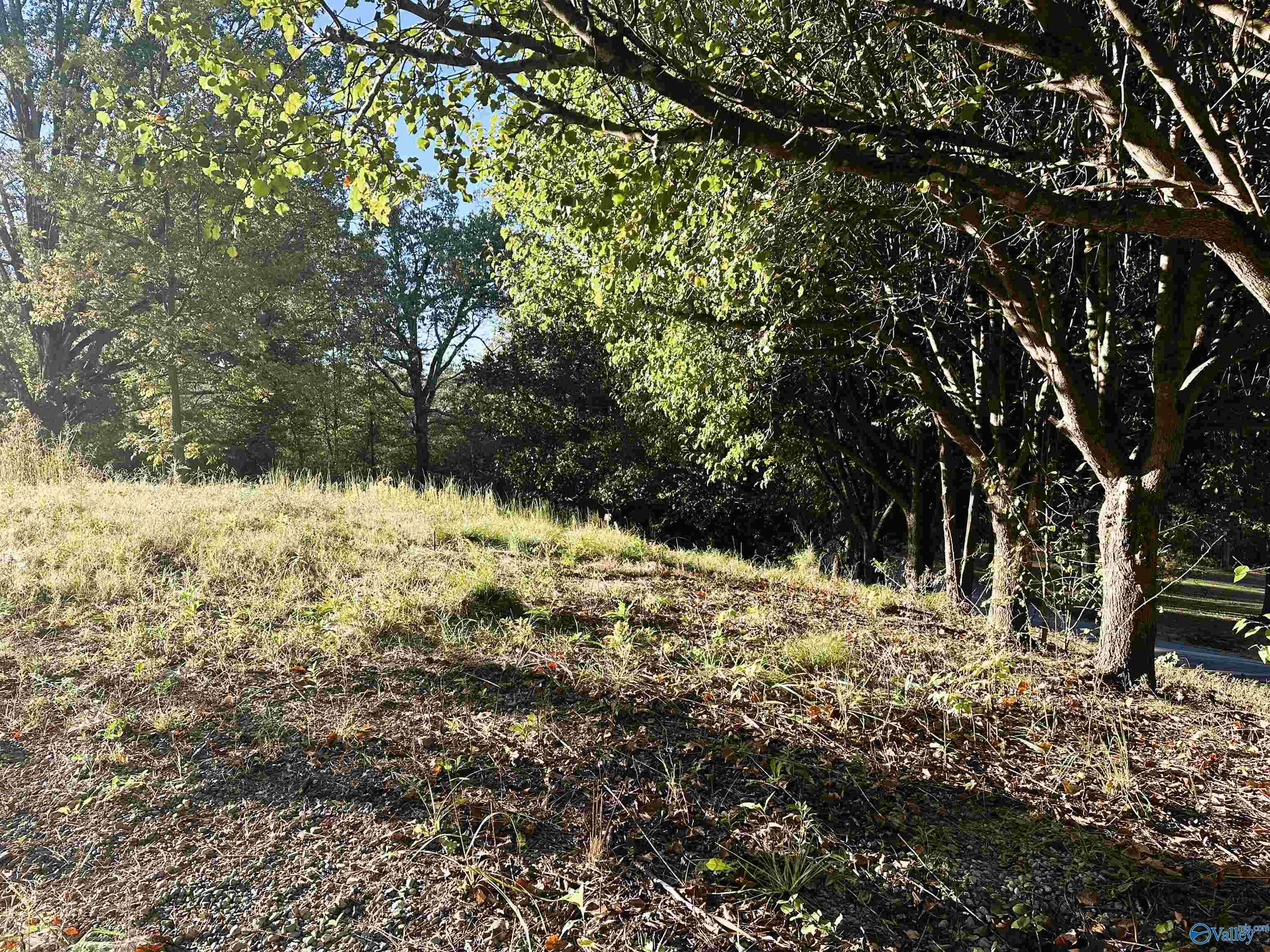 886 Swinging Bridge Road