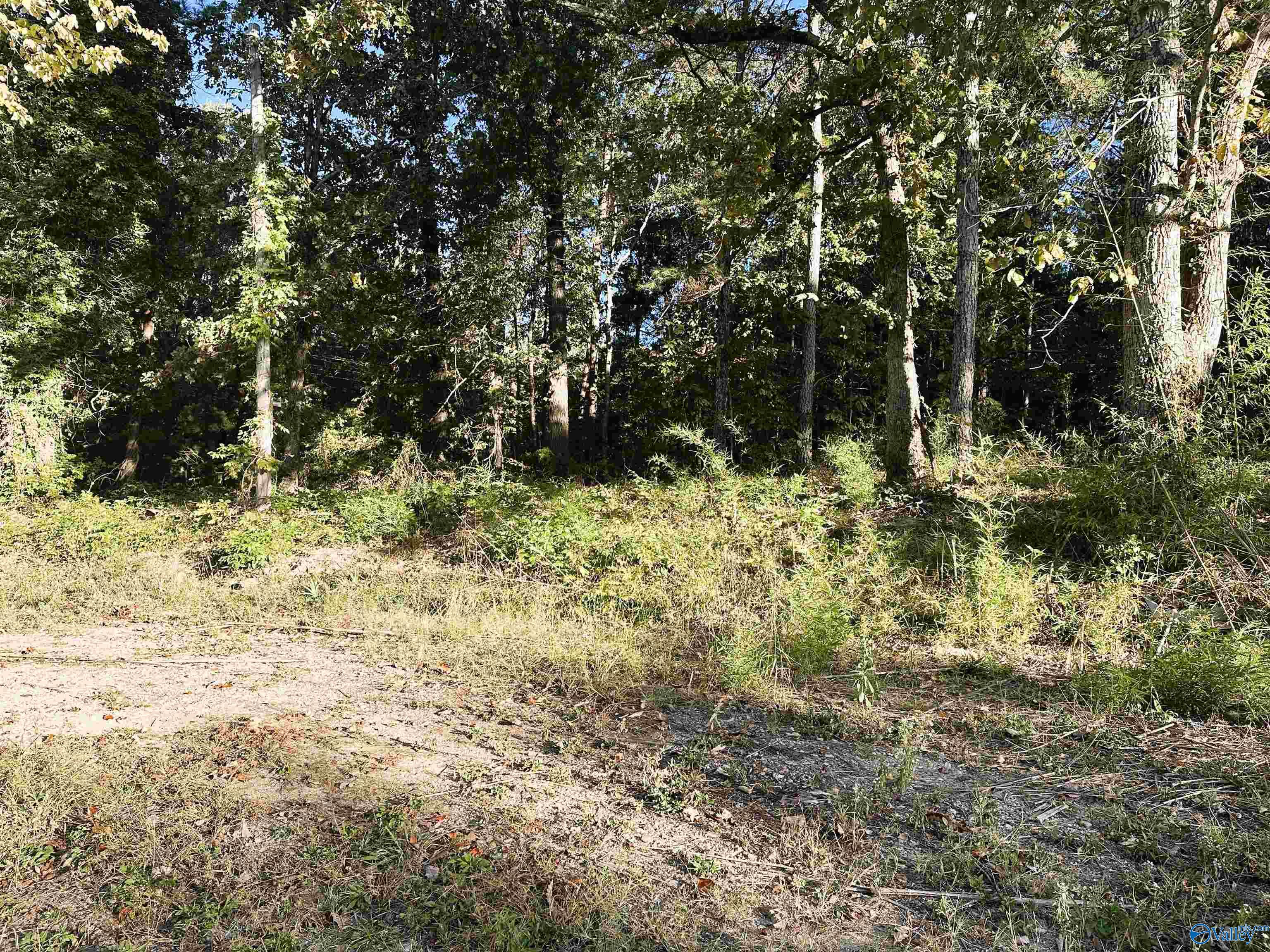 886 Swinging Bridge Road