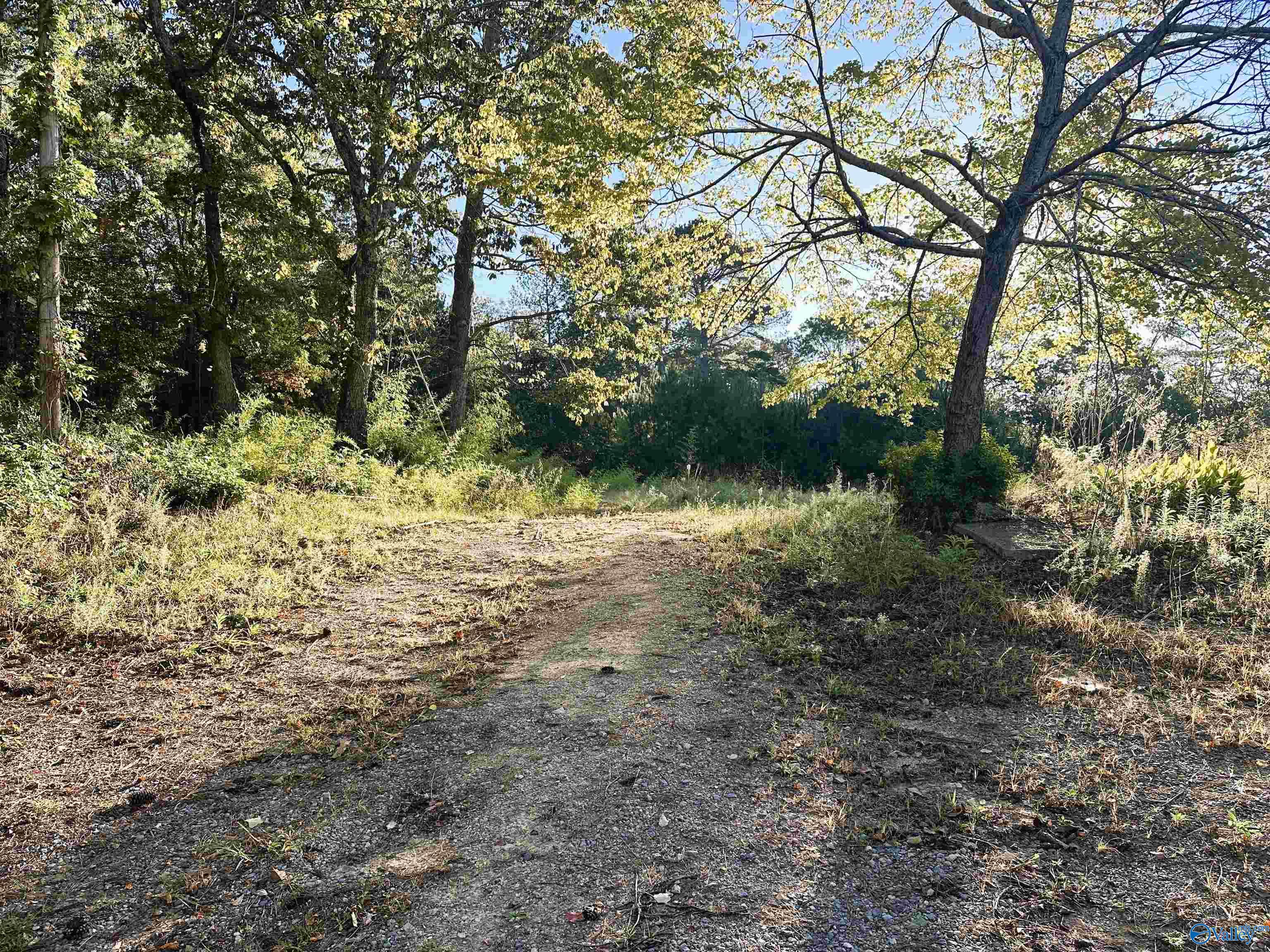 886 Swinging Bridge Road