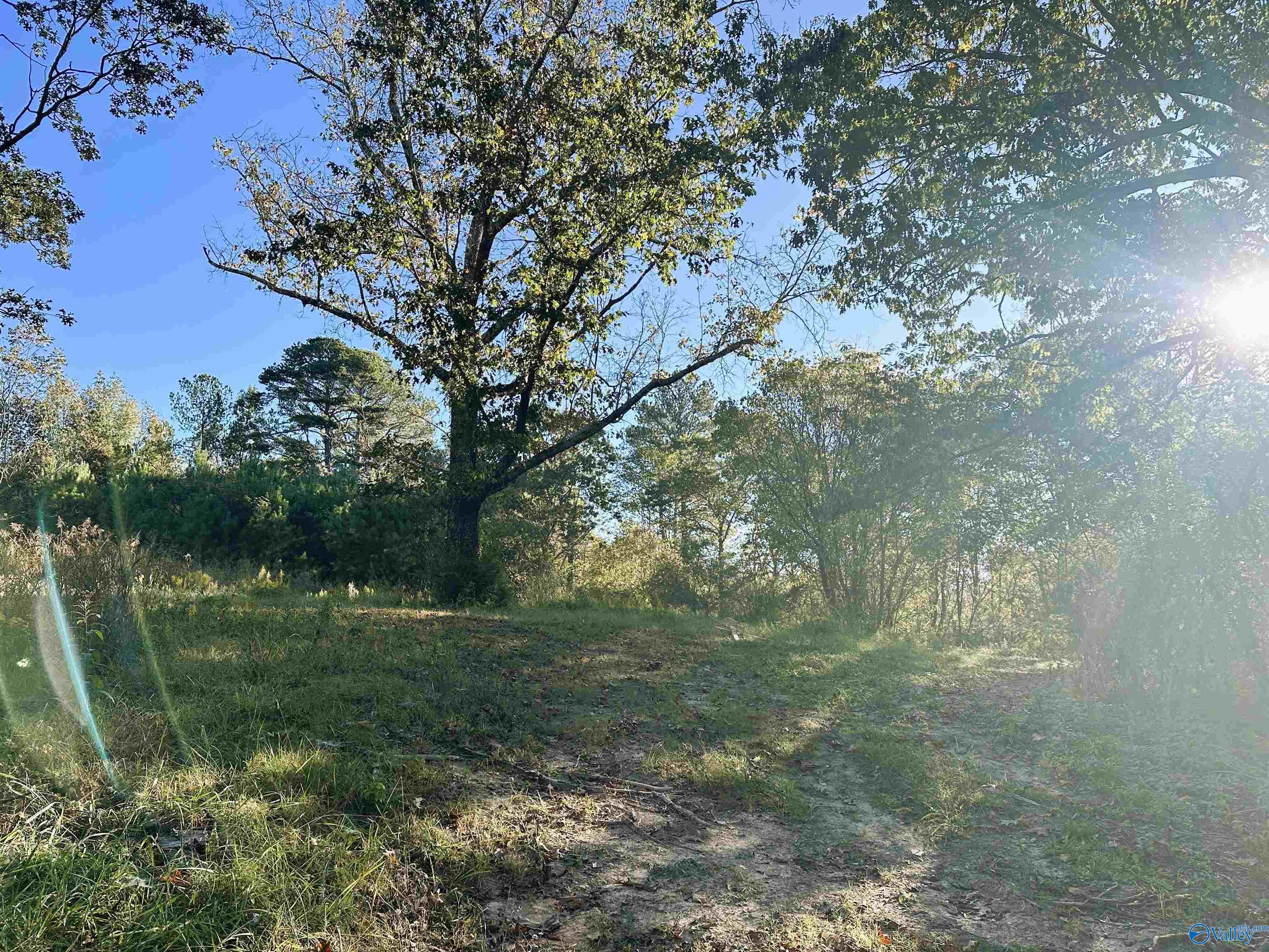 878 Swinging Bridge Road NW