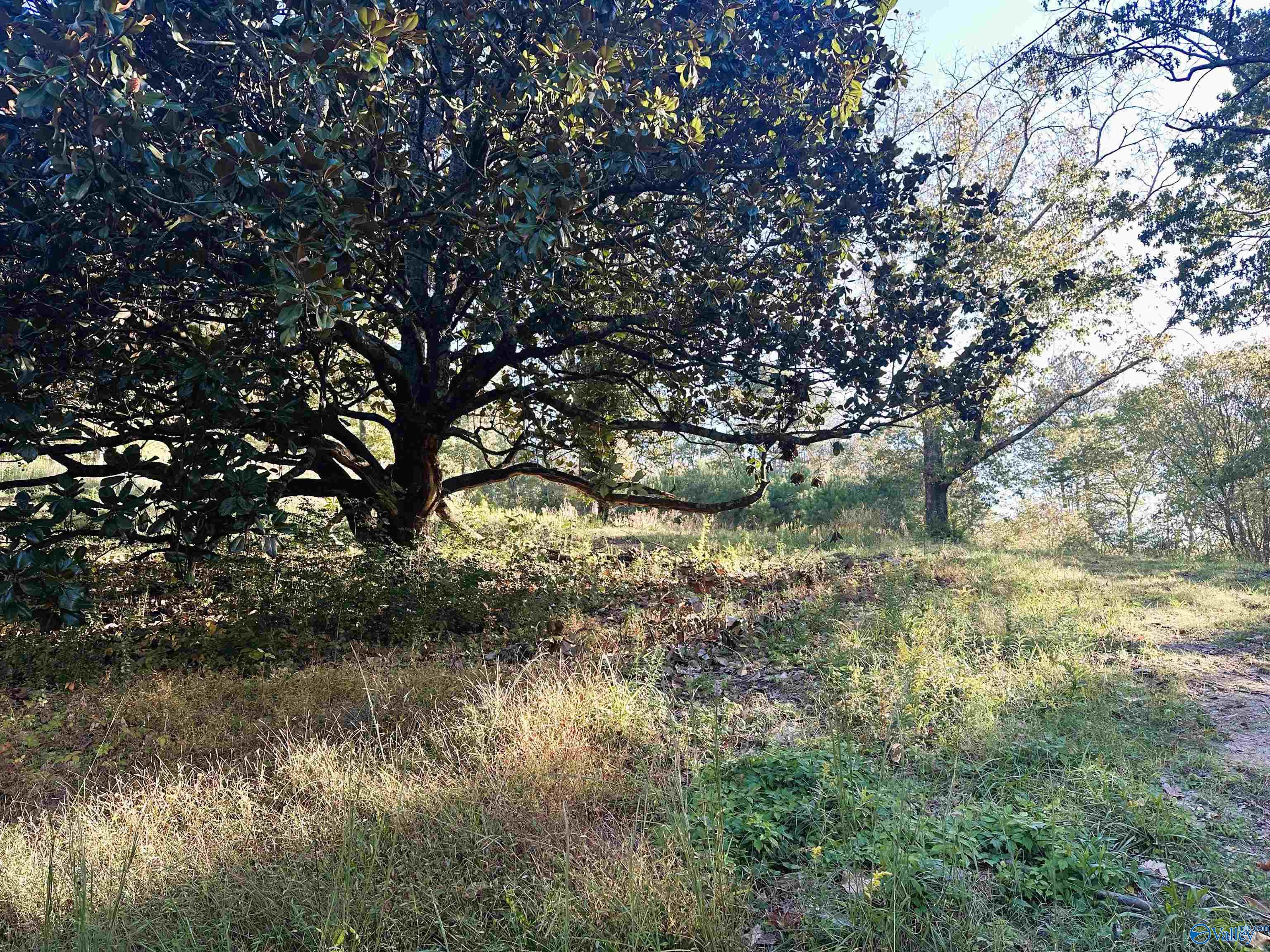 878 Swinging Bridge Road NW