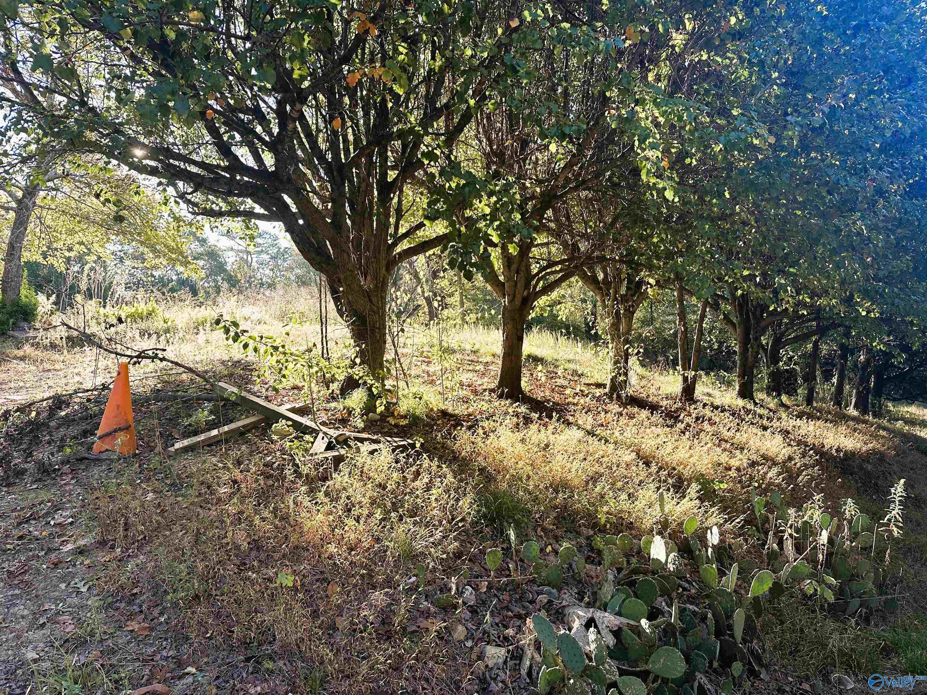 878 Swinging Bridge Road NW