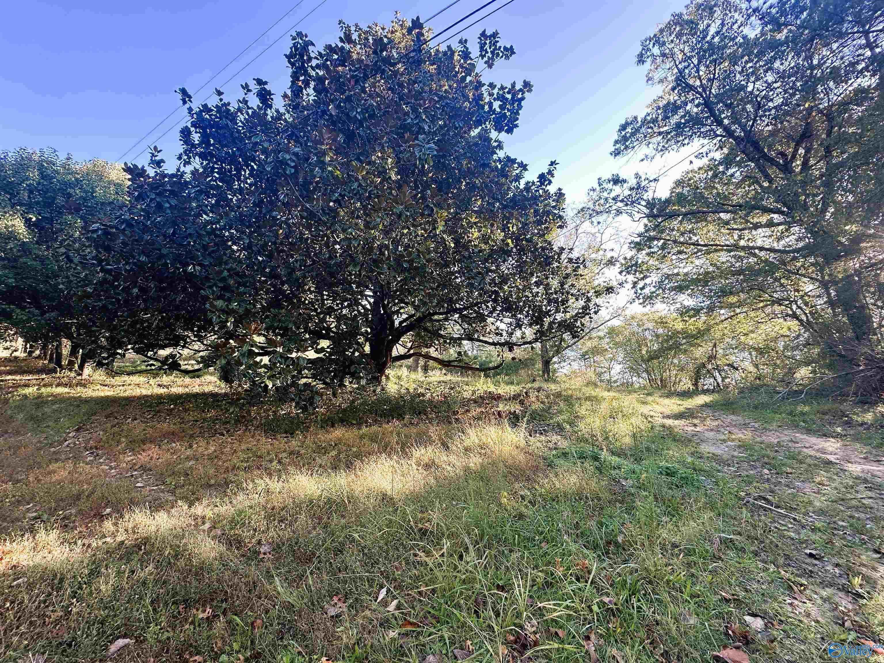 878 Swinging Bridge Road NW