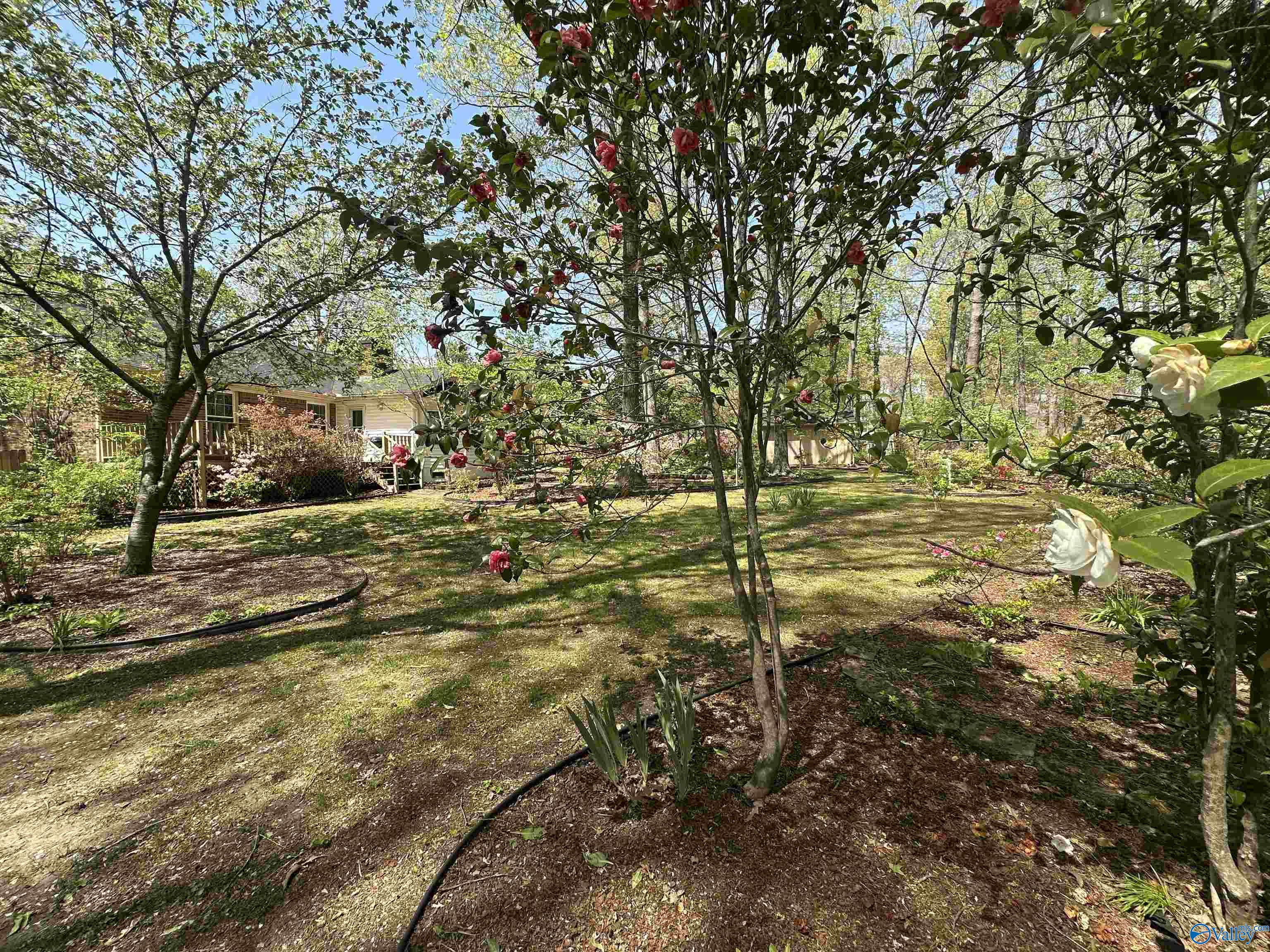 2008 Oakleaf Lane