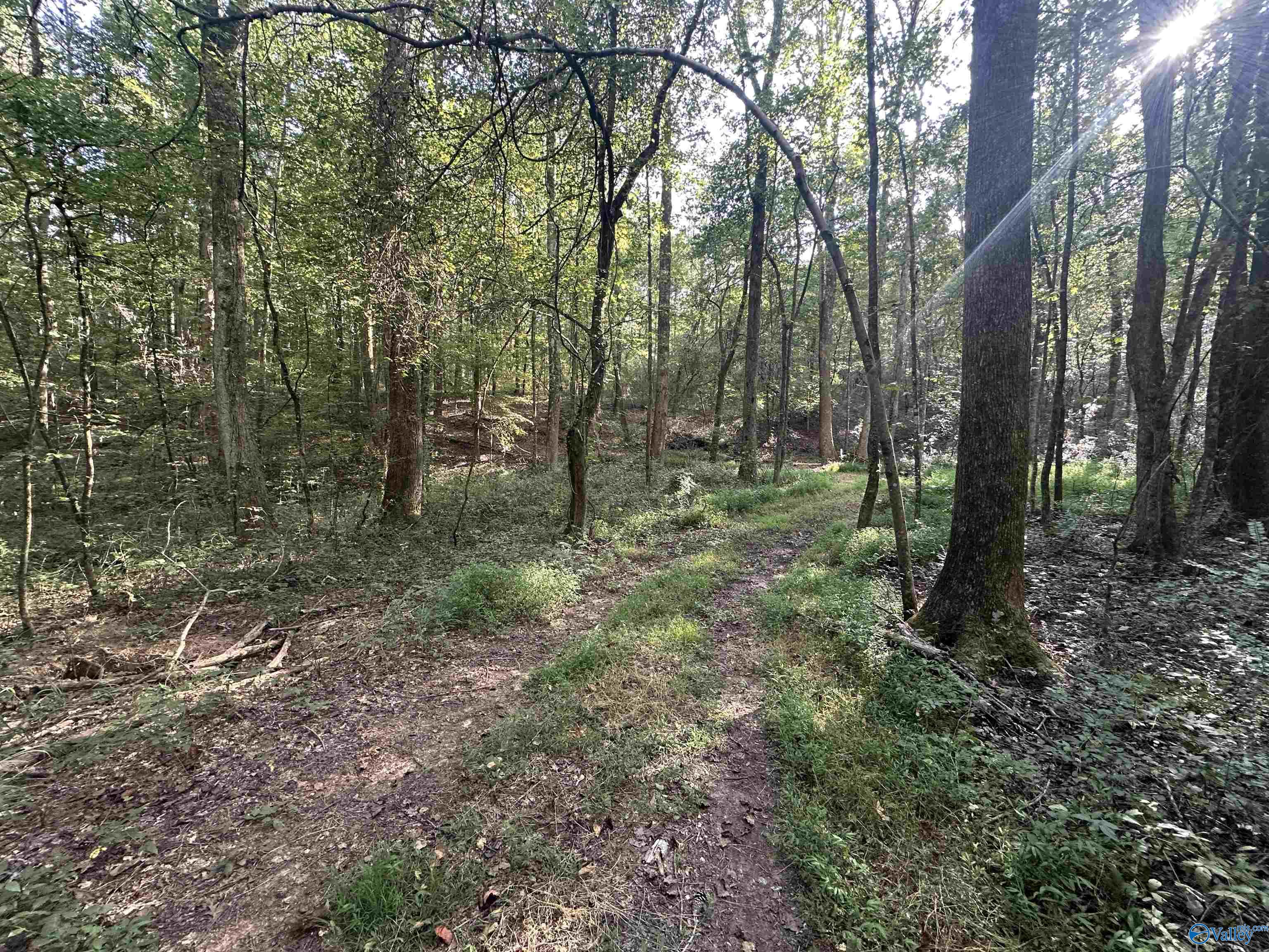 x Winding Brook Lane