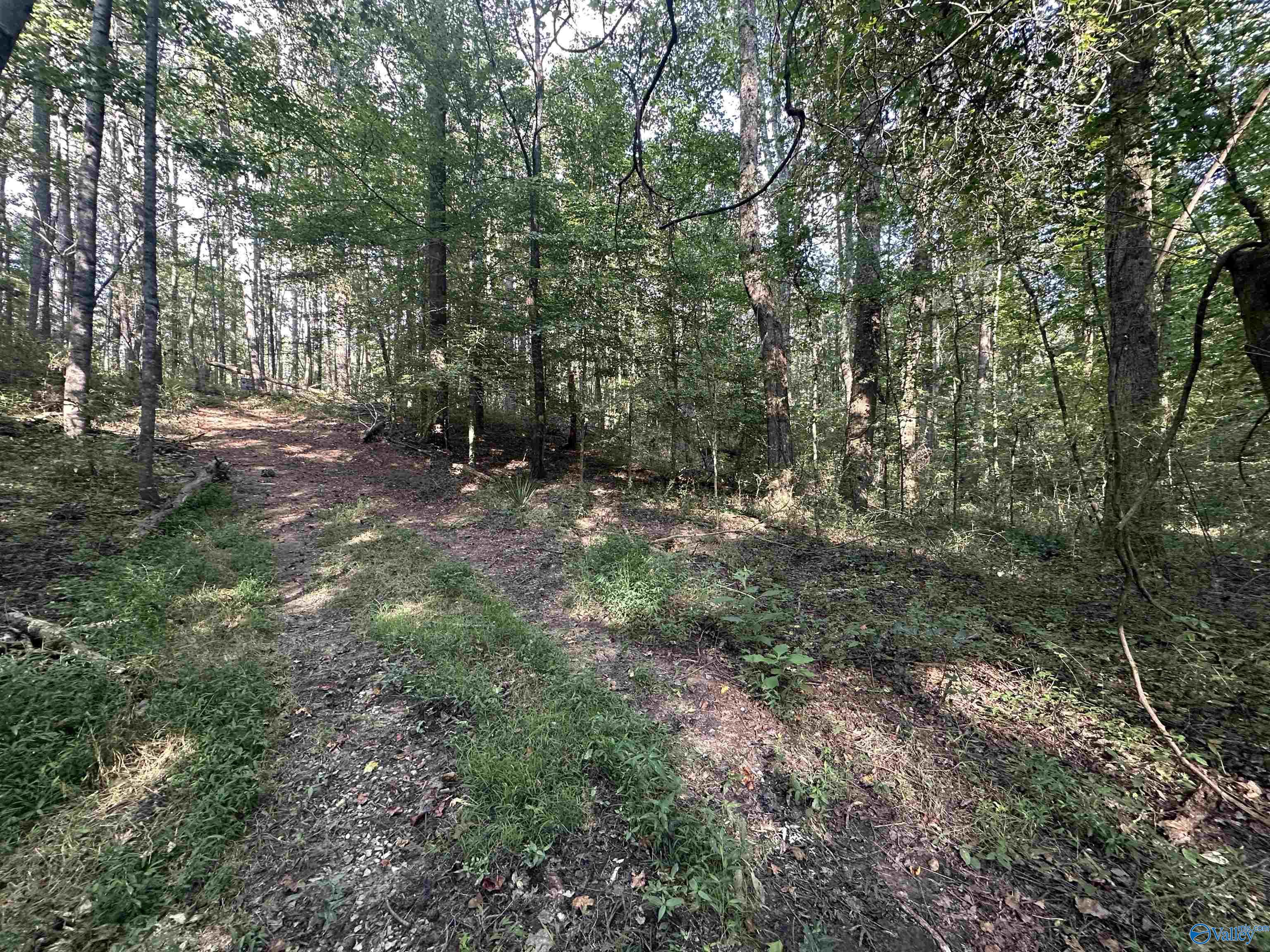 x Winding Brook Lane