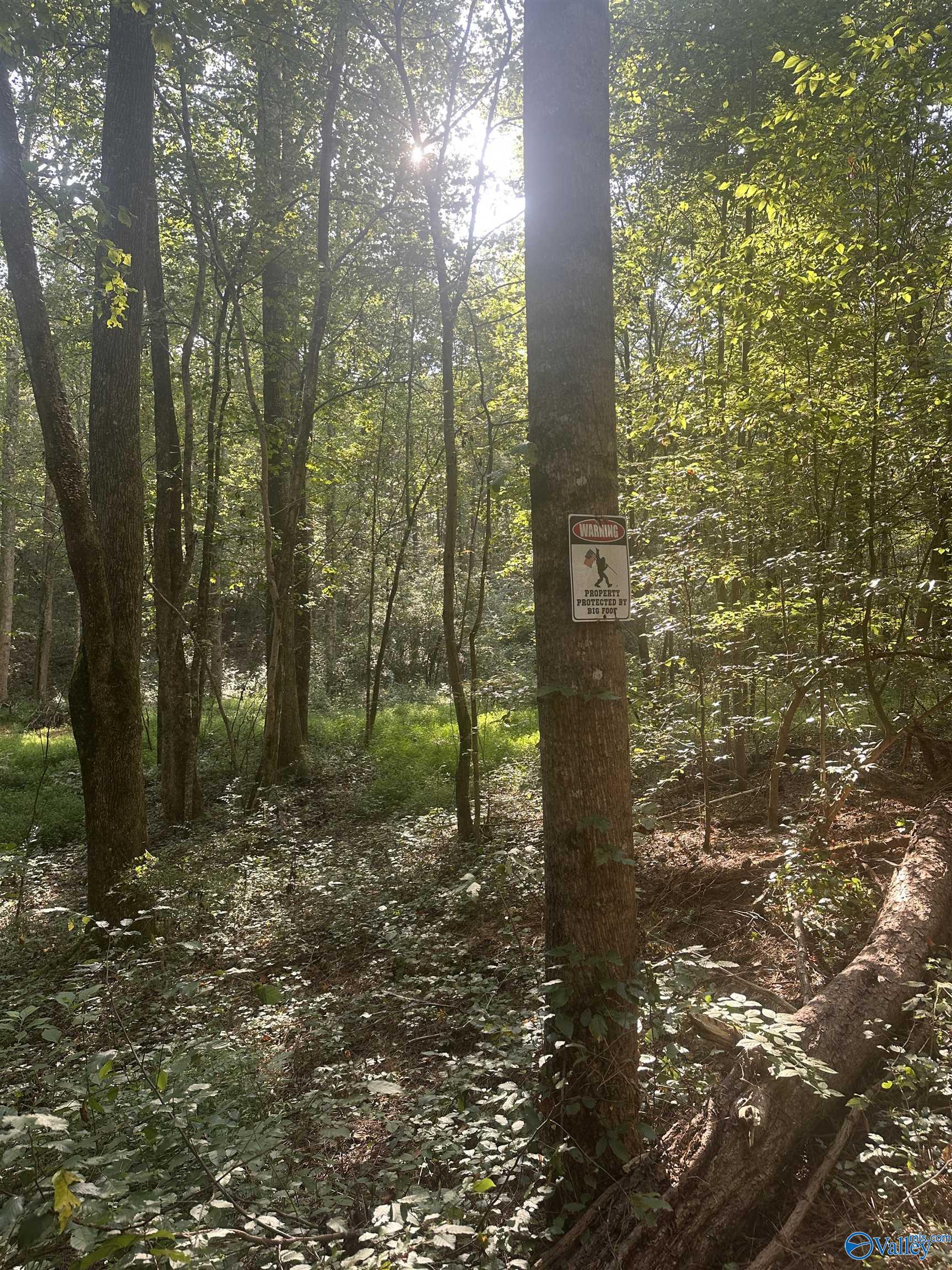 x Winding Brook Lane