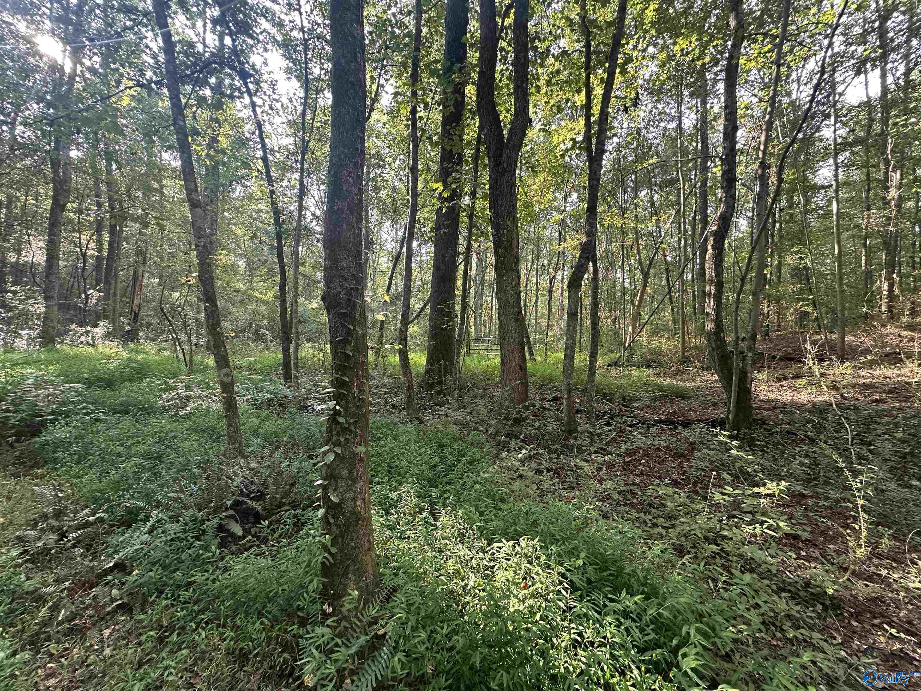 x Winding Brook Lane