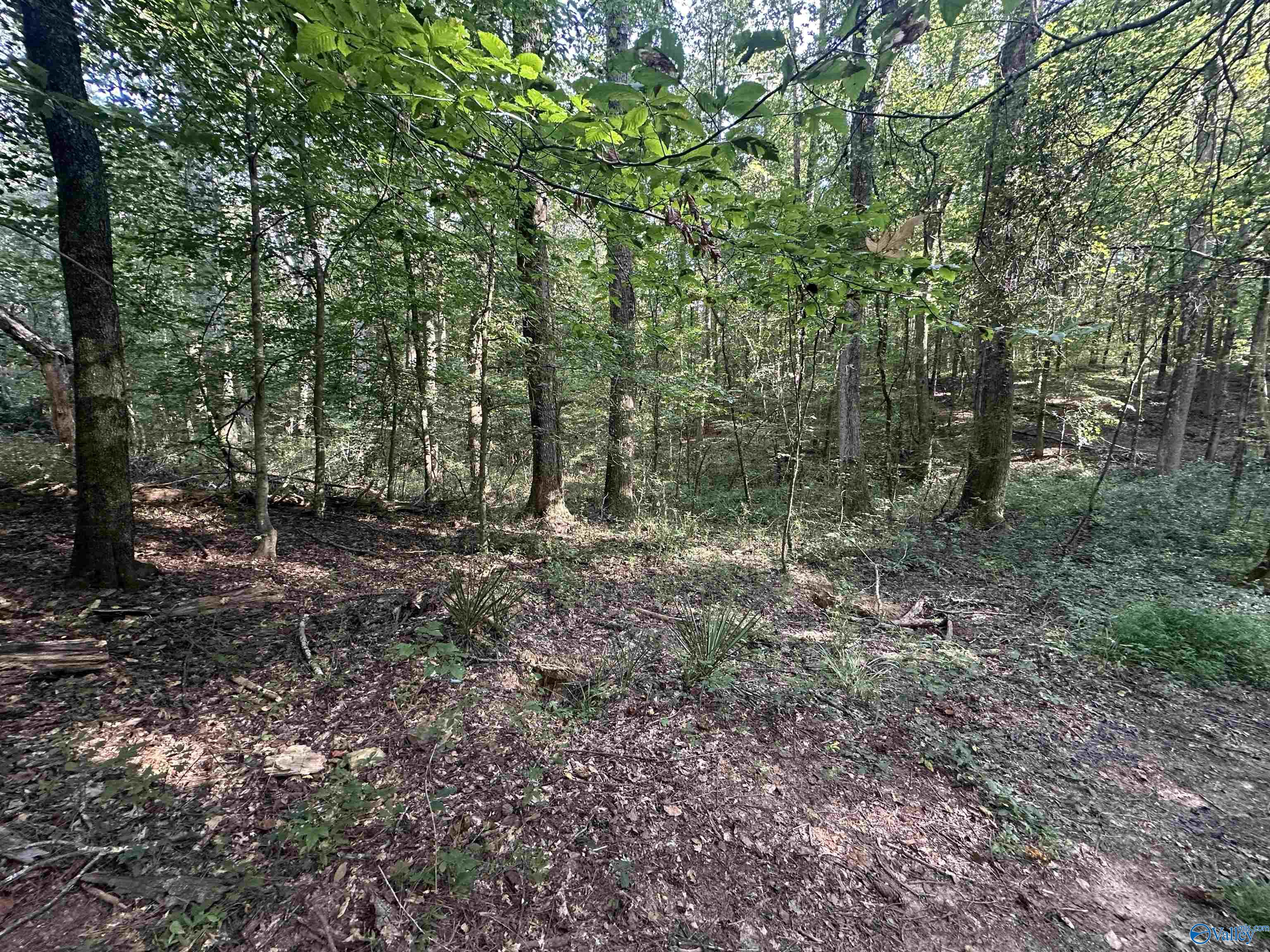 x Winding Brook Lane