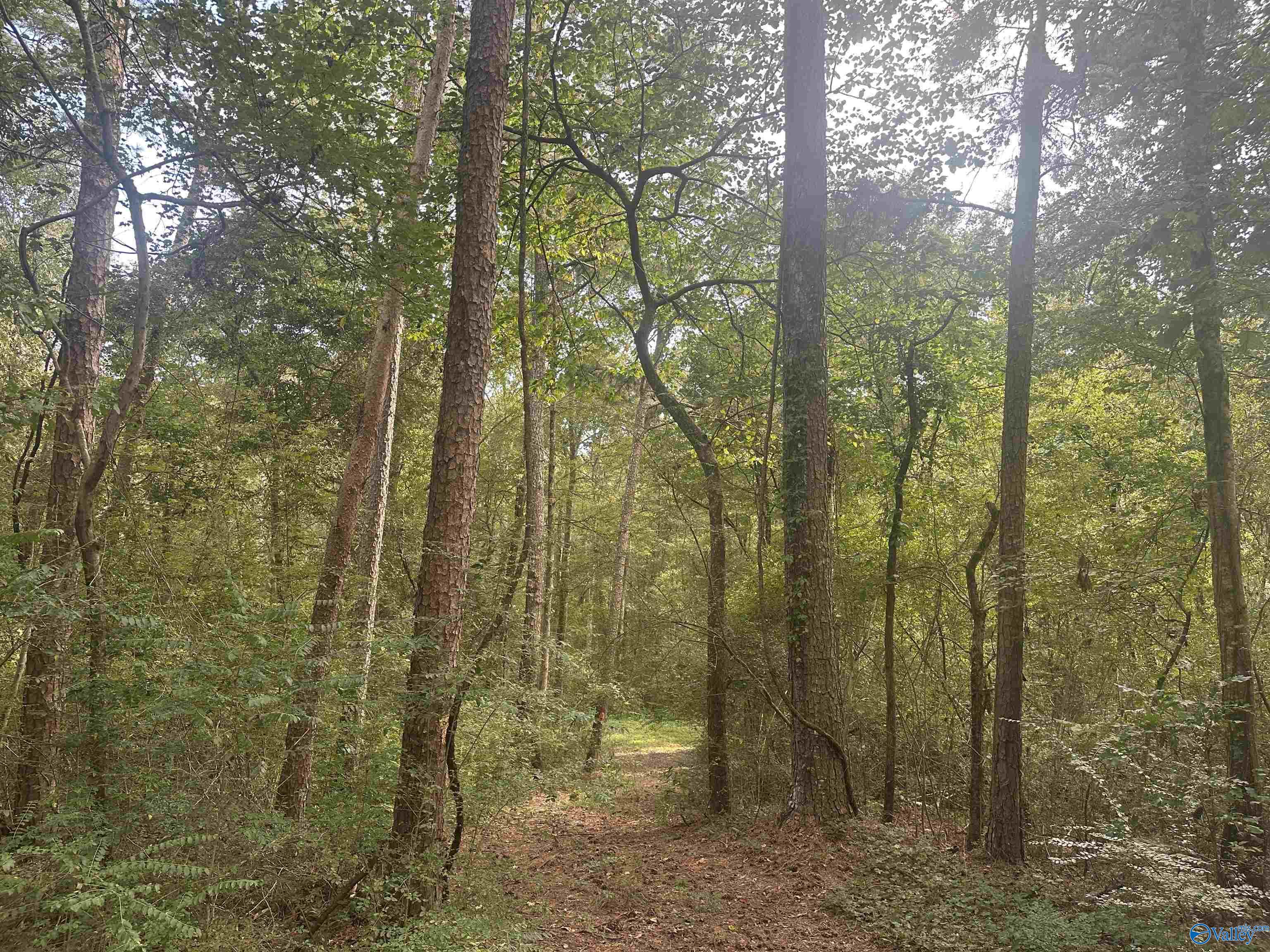 x Winding Brook Lane