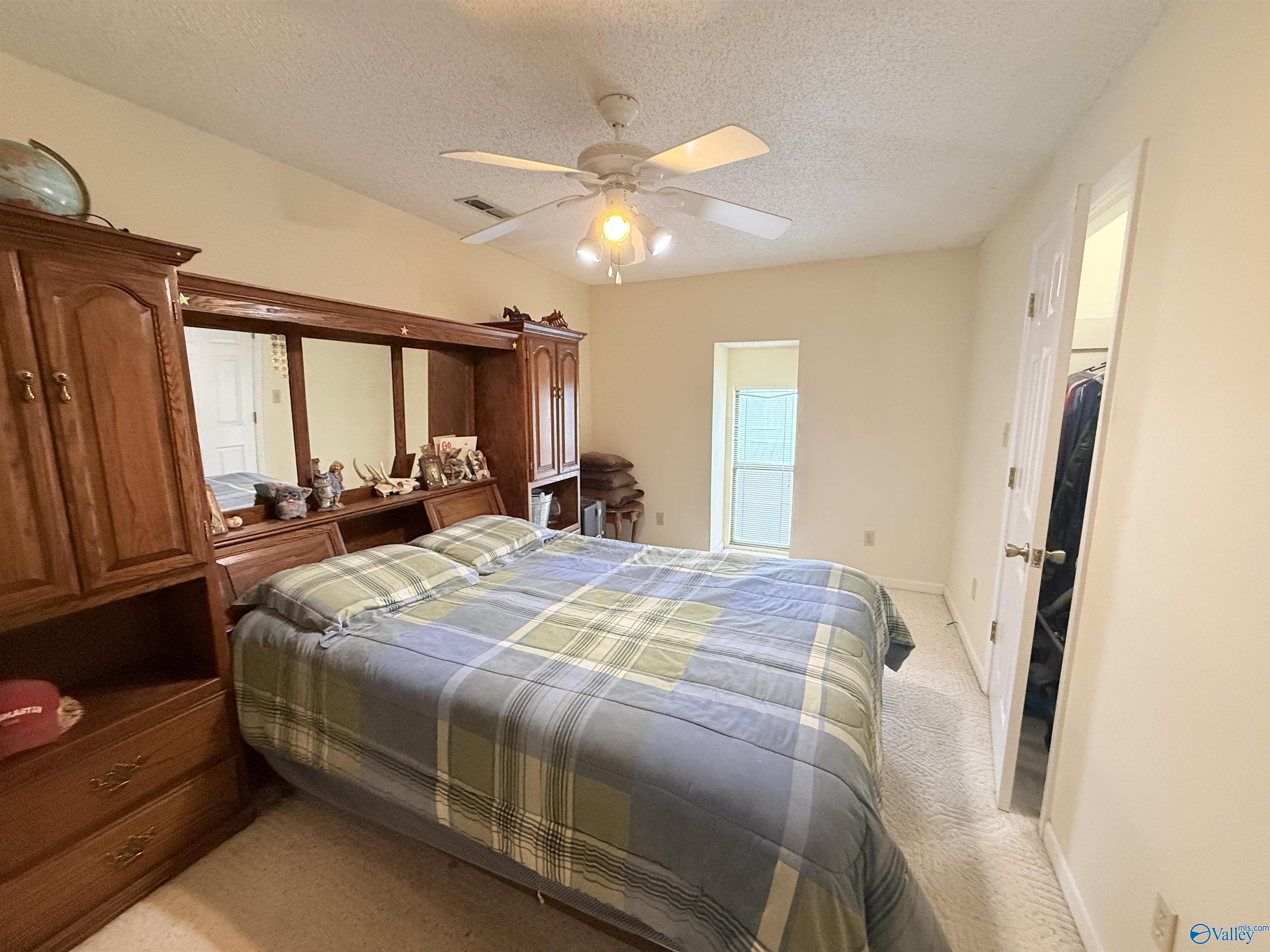 619 Brindlee Mountain Parkway N