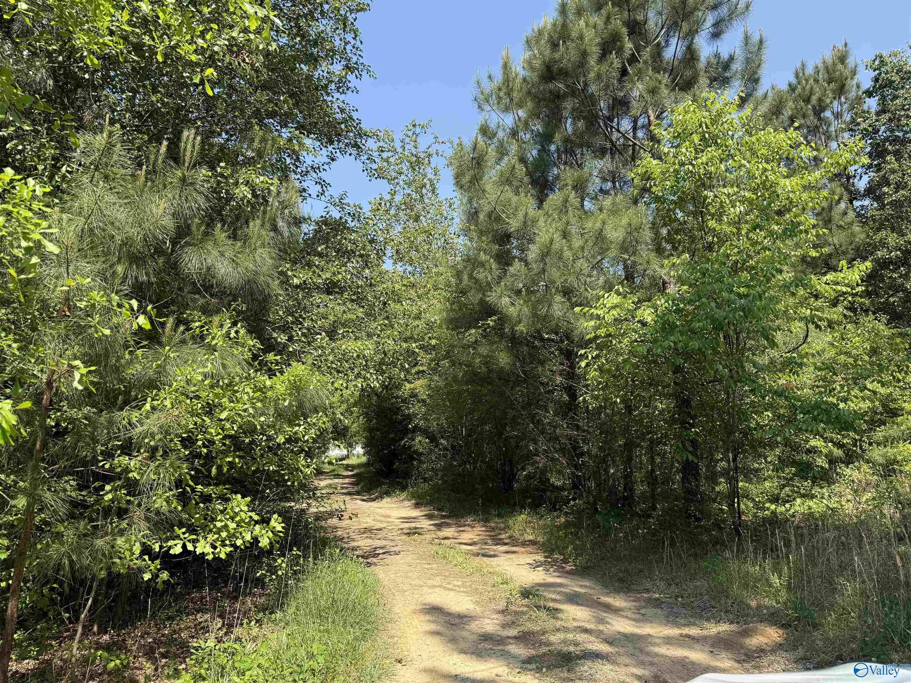 167 County Road 1592