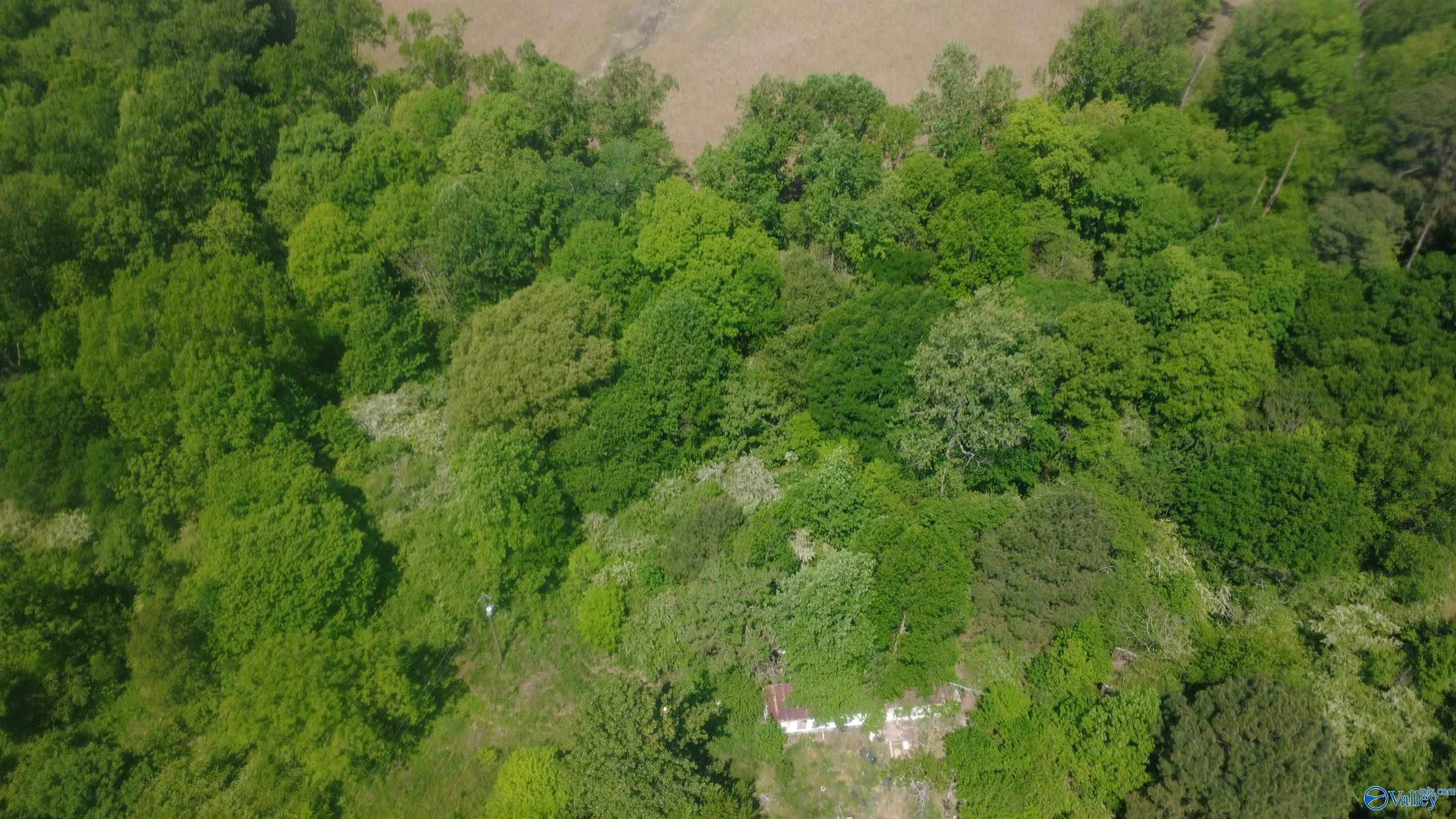 167 County Road 1592
