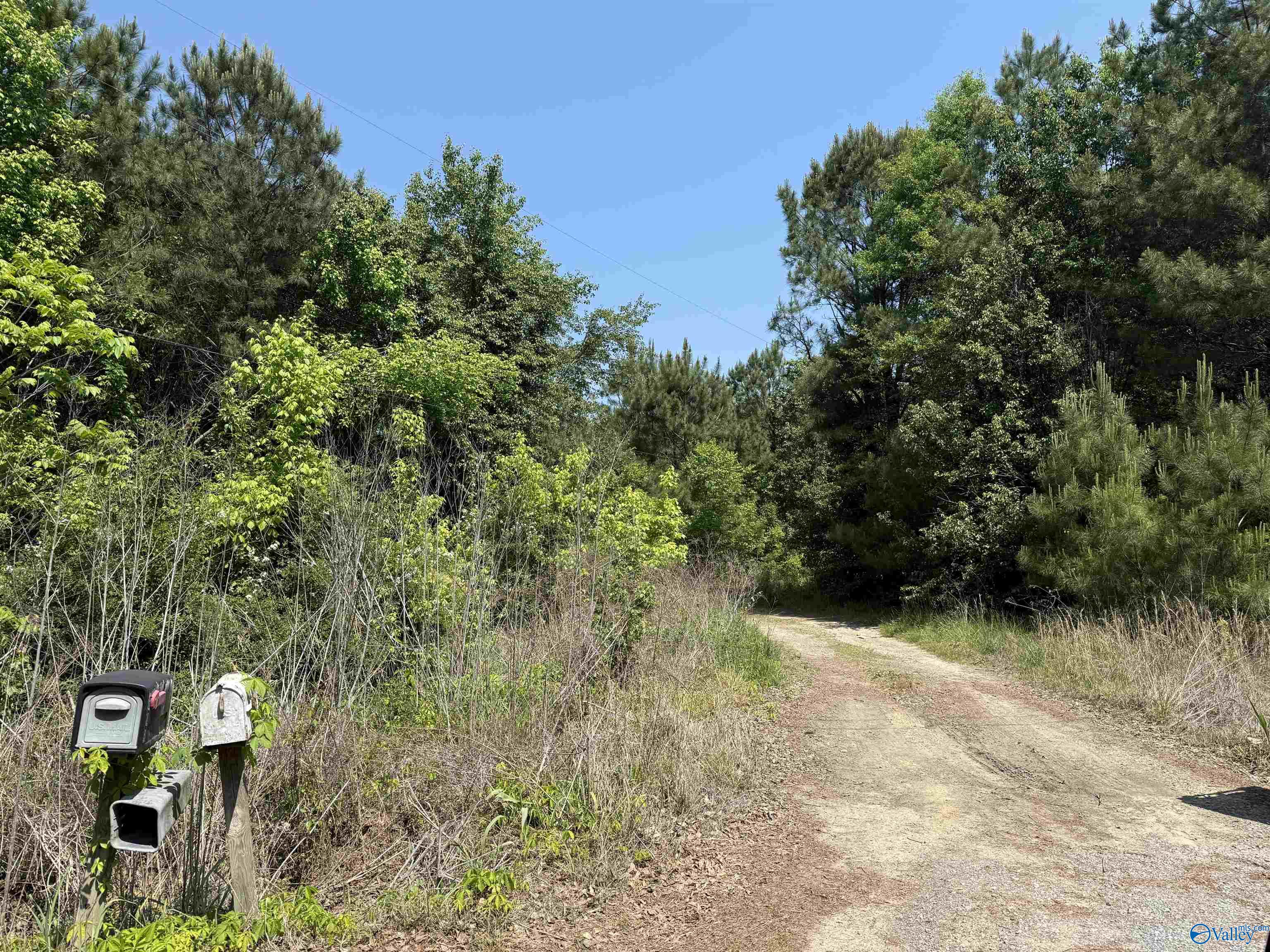 167 County Road 1592