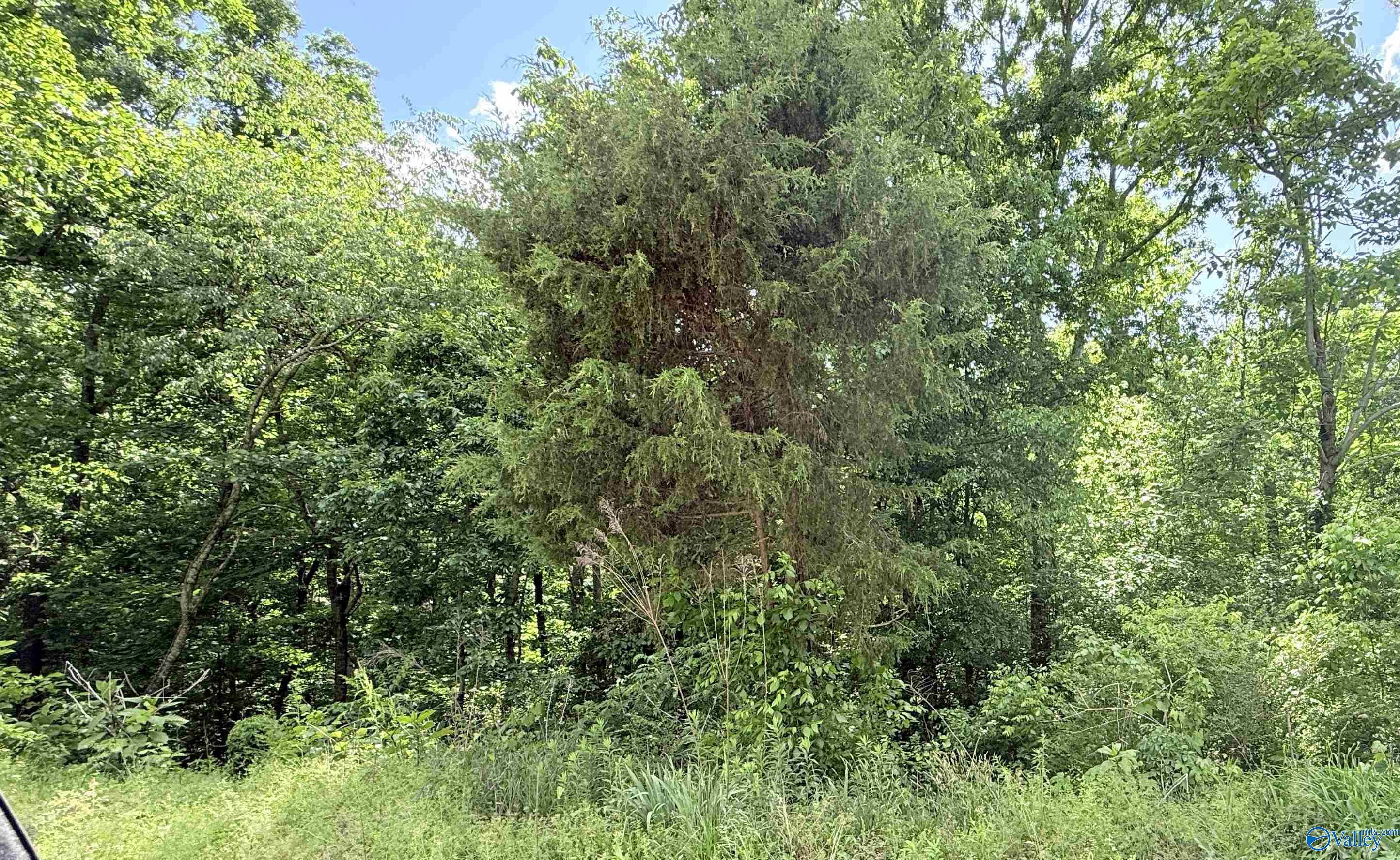18 Acres Water Tank Road