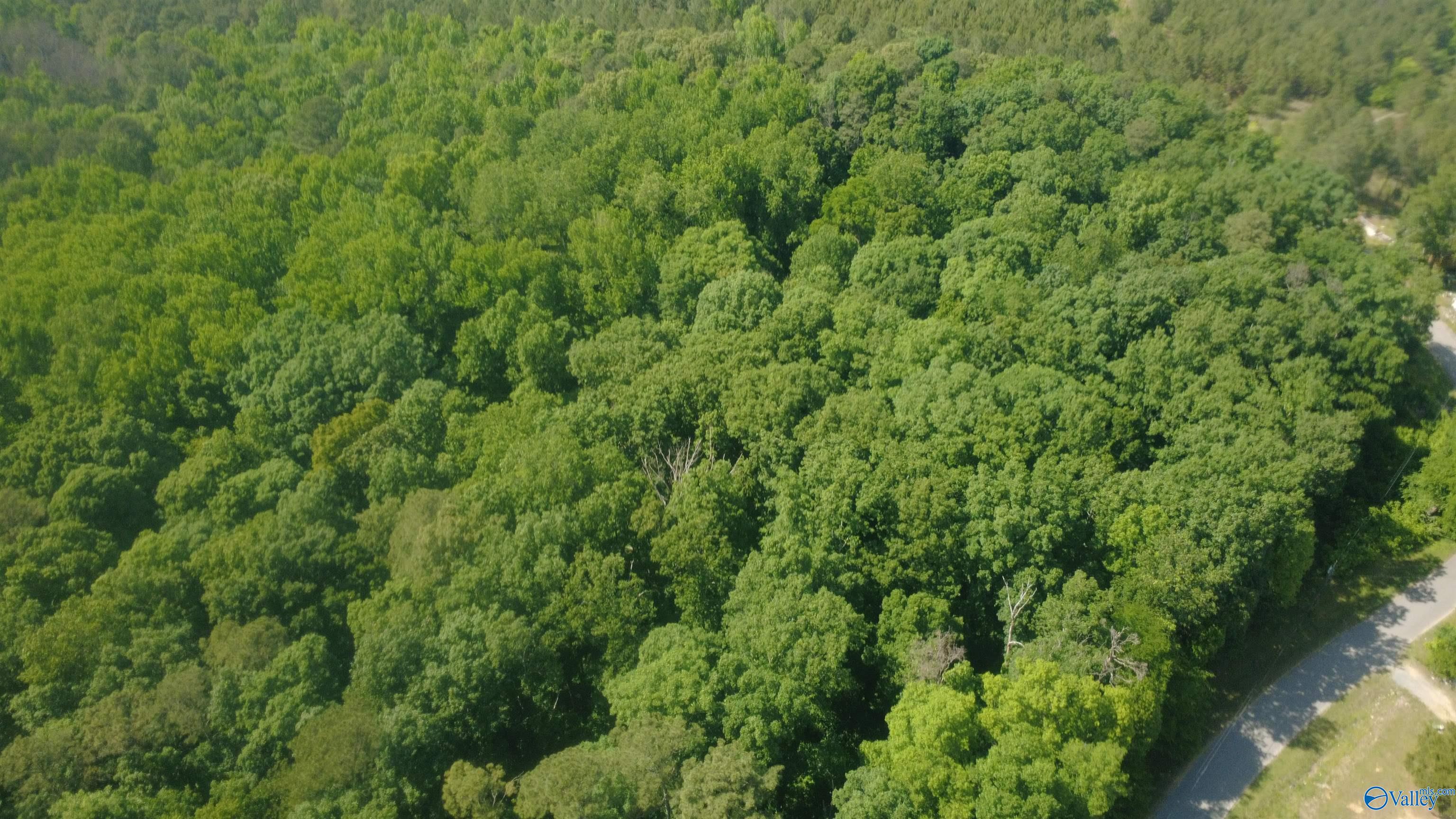 22 acres Water Tank Road