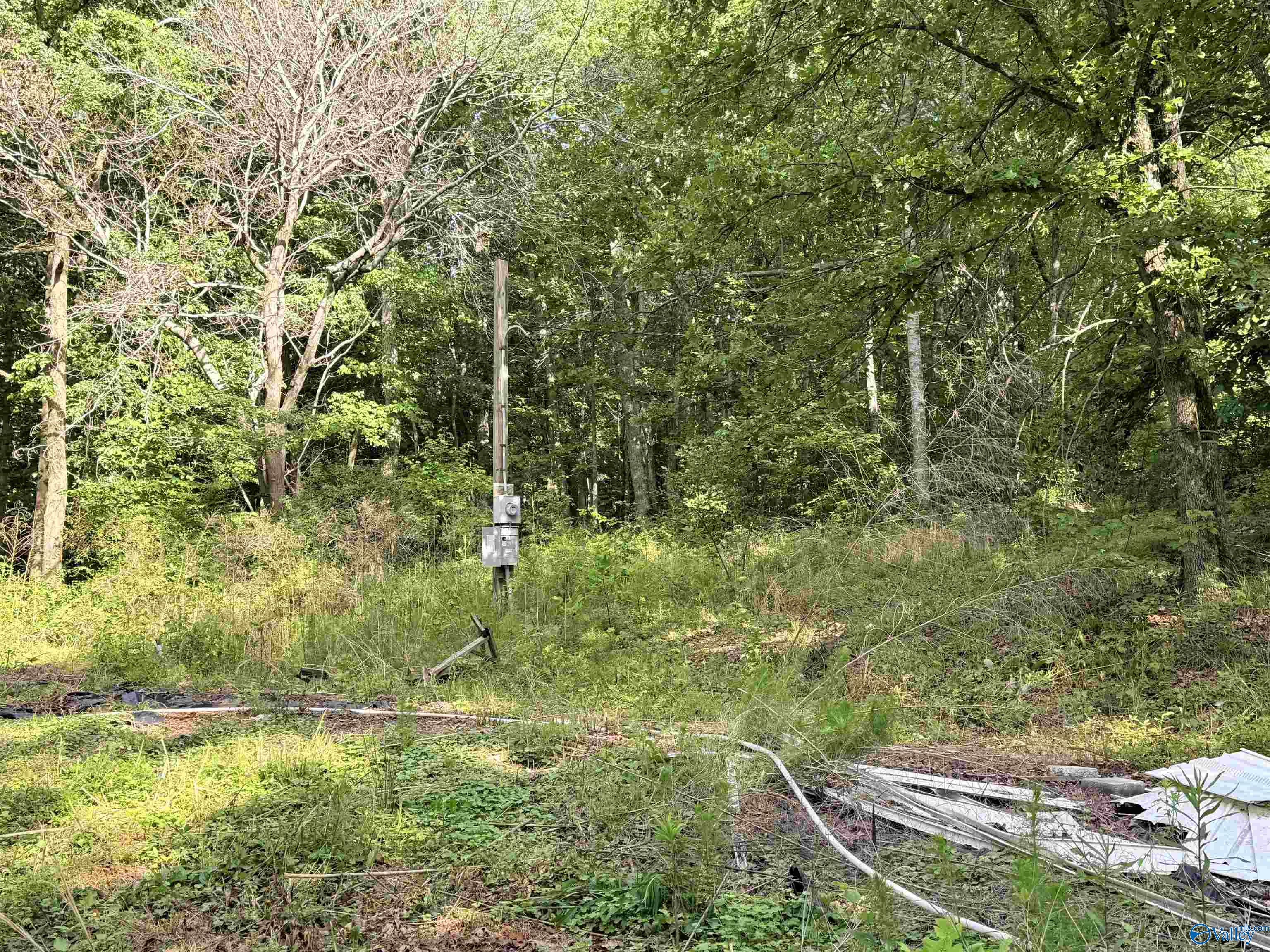 719 Blue Ridge Road