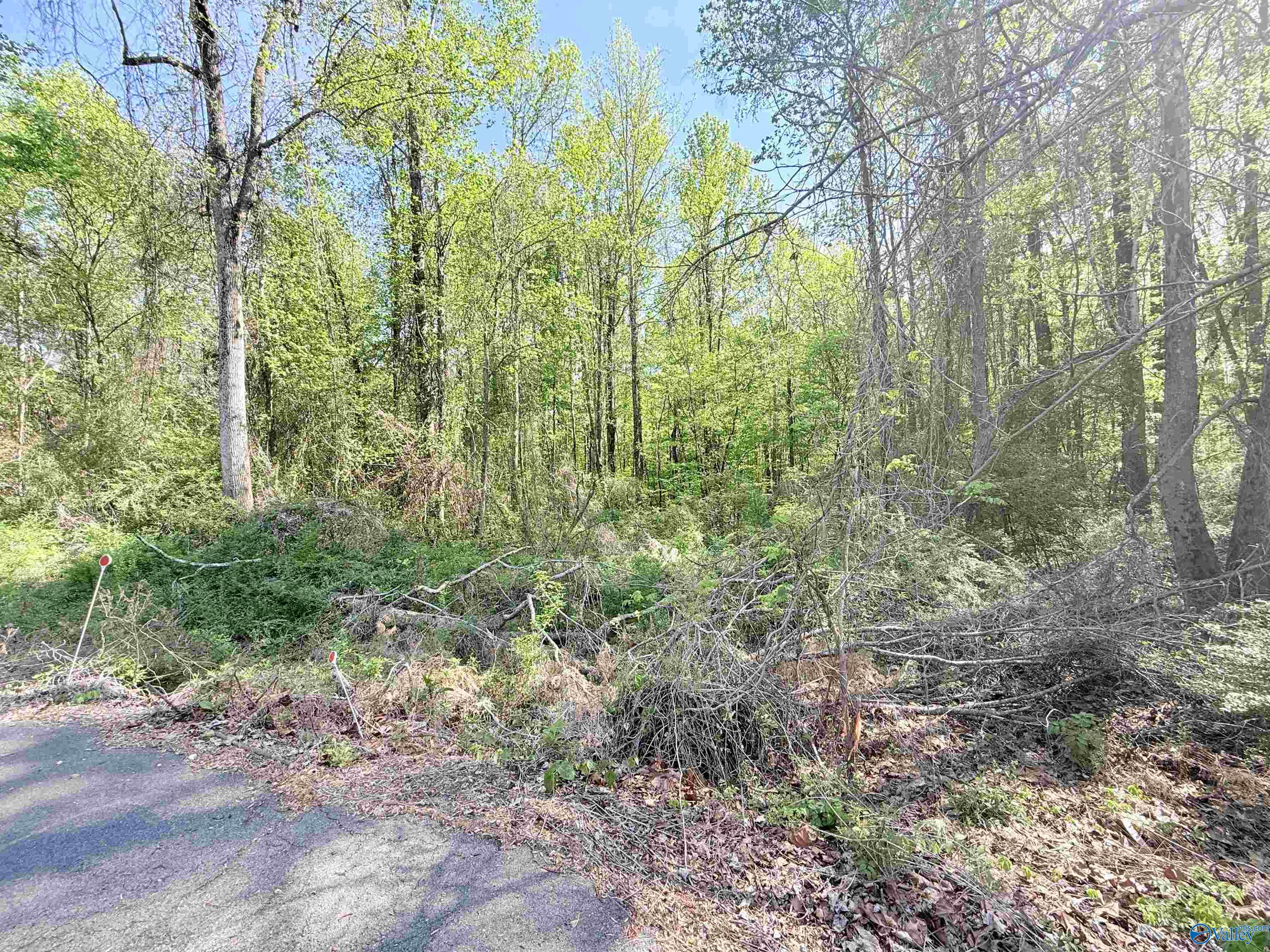 10 ac Sweet Home Rd