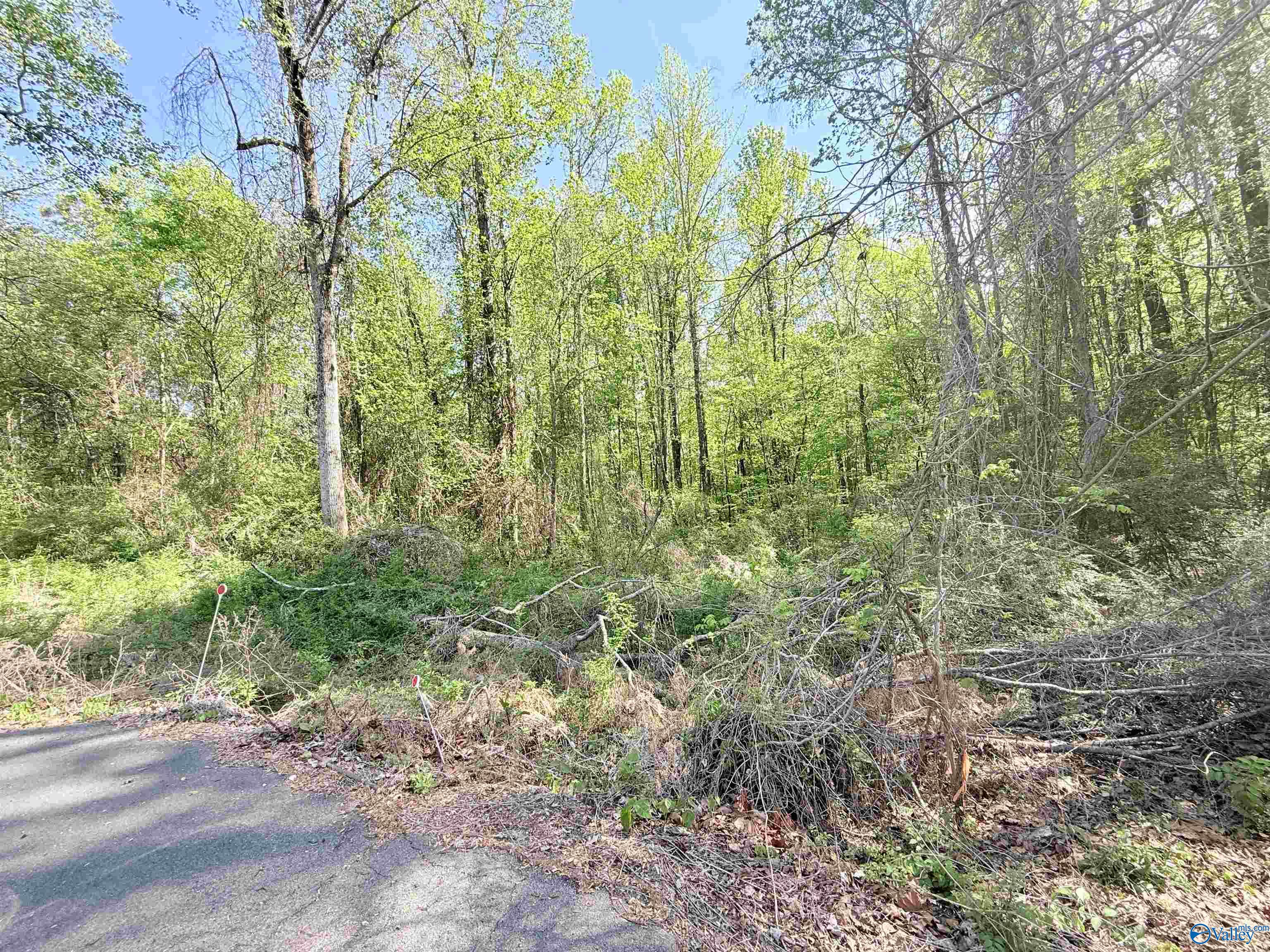 10 ac Sweet Home Rd