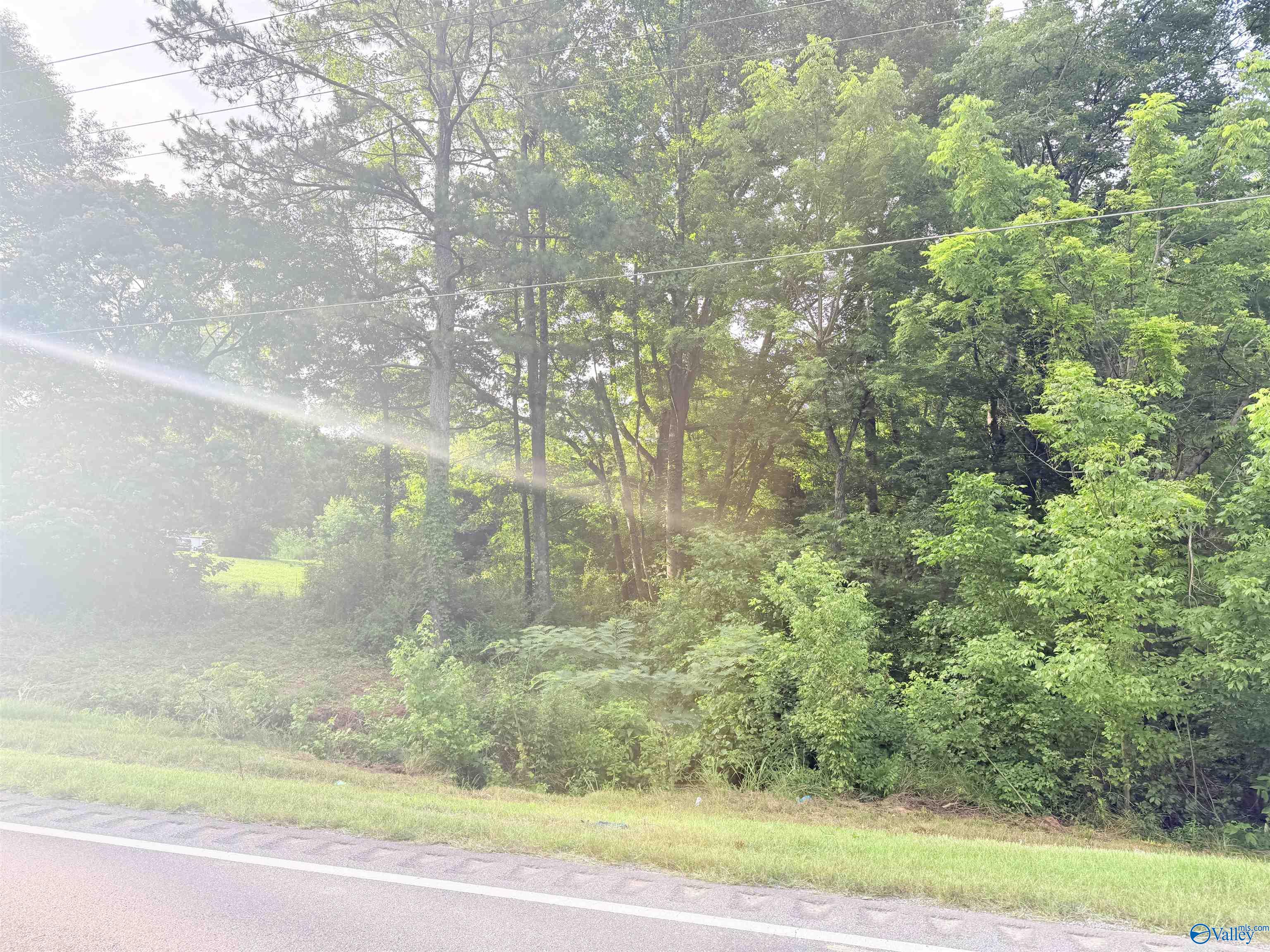 1.7 acres Al Hwy 69