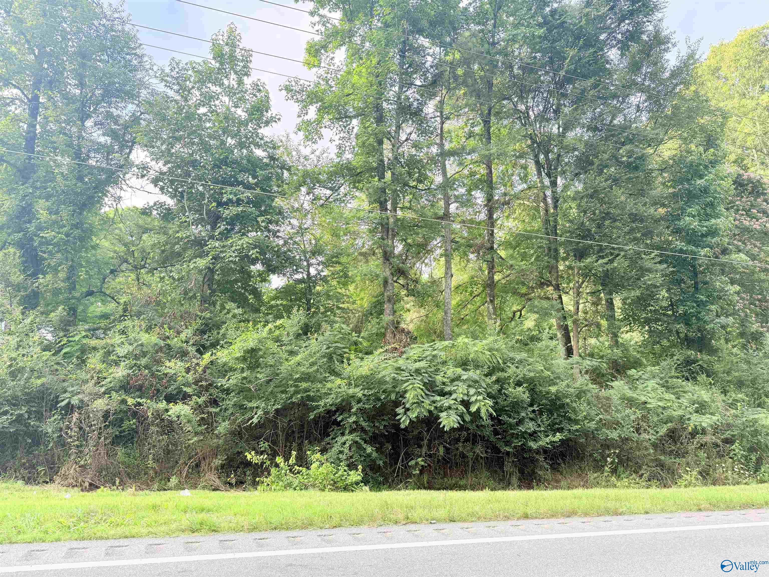 1.7 acres Al Hwy 69