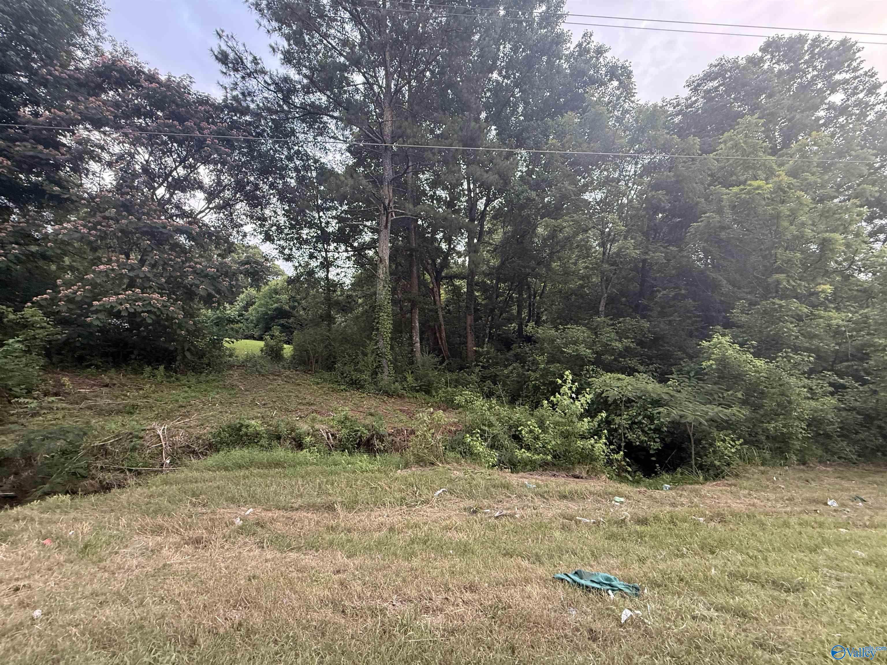 1.7 acres Al Hwy 69