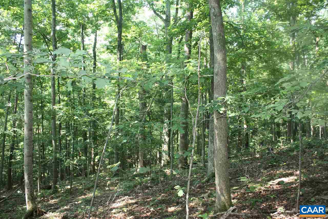 355 CRAWFORDS CLIMB