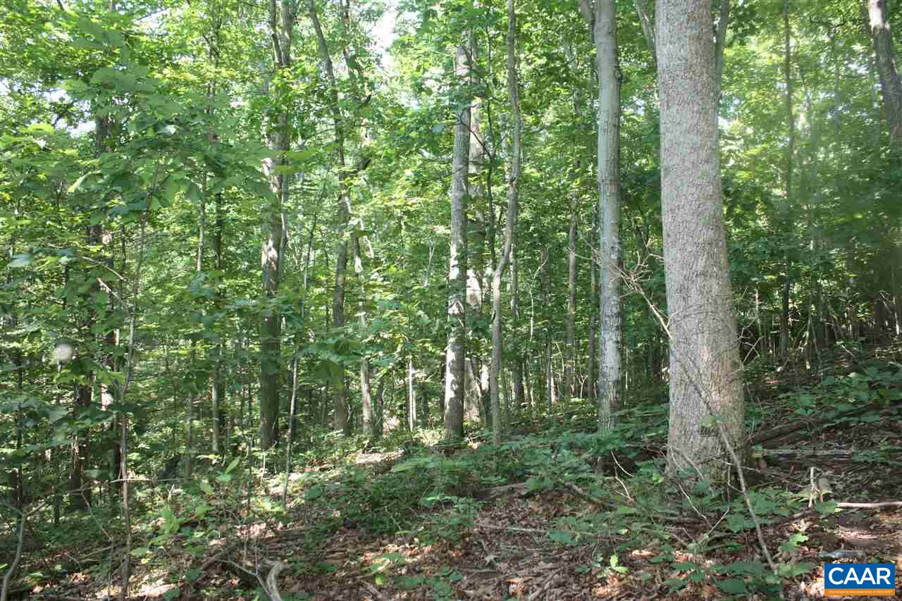 355 CRAWFORDS CLIMB