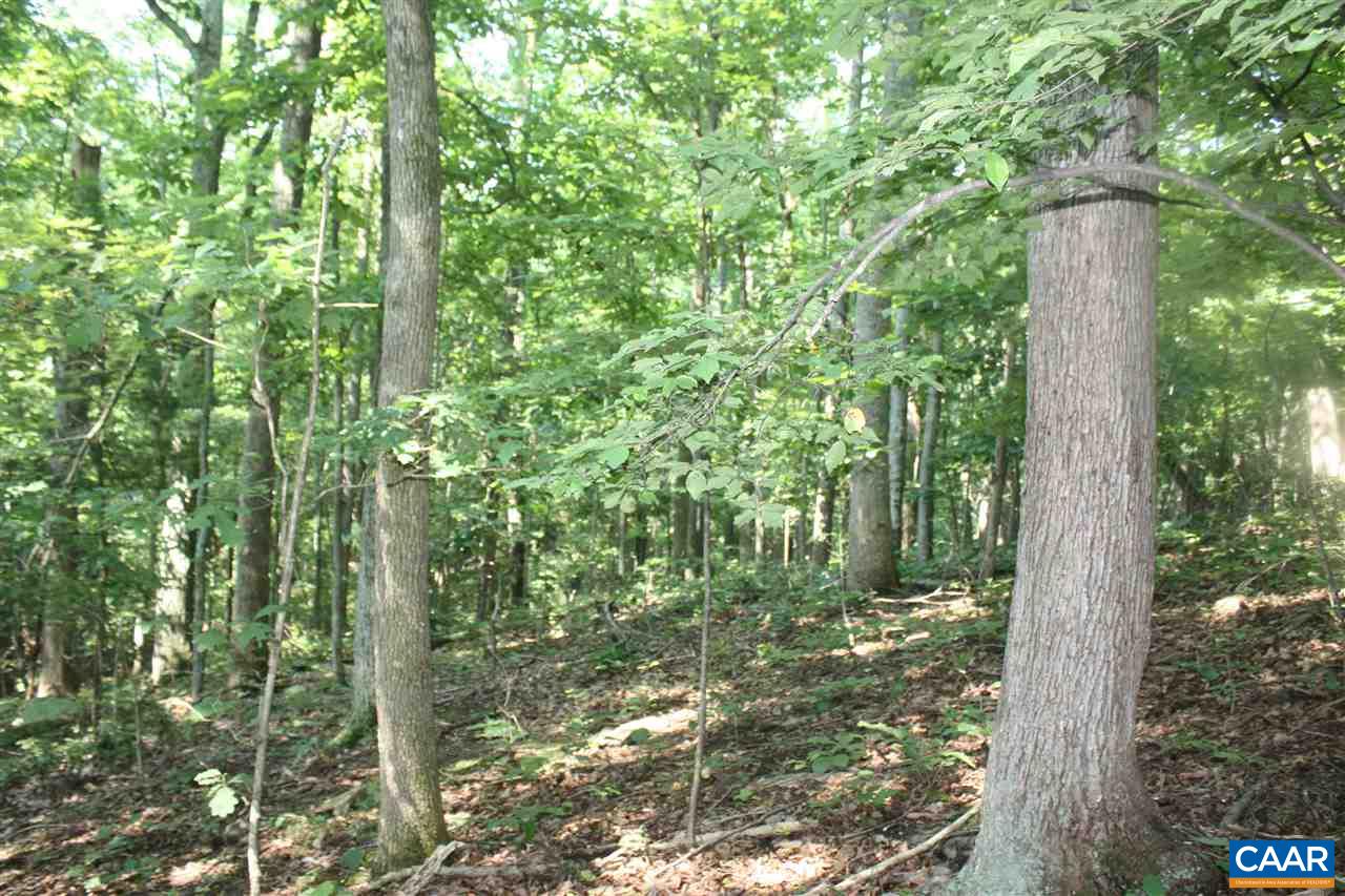 355 CRAWFORDS CLIMB
