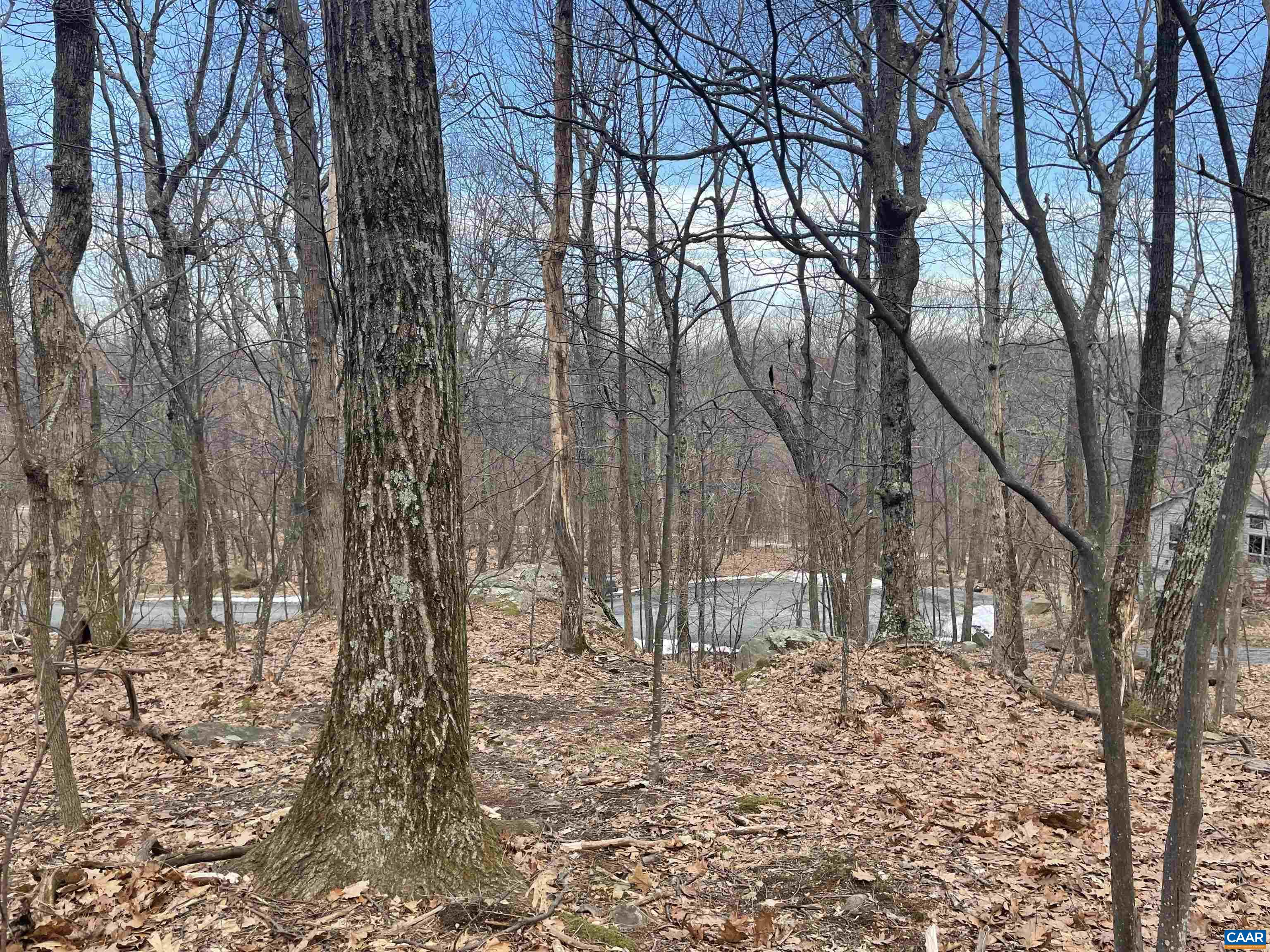 88 DEERBERRY LN Unit: 7