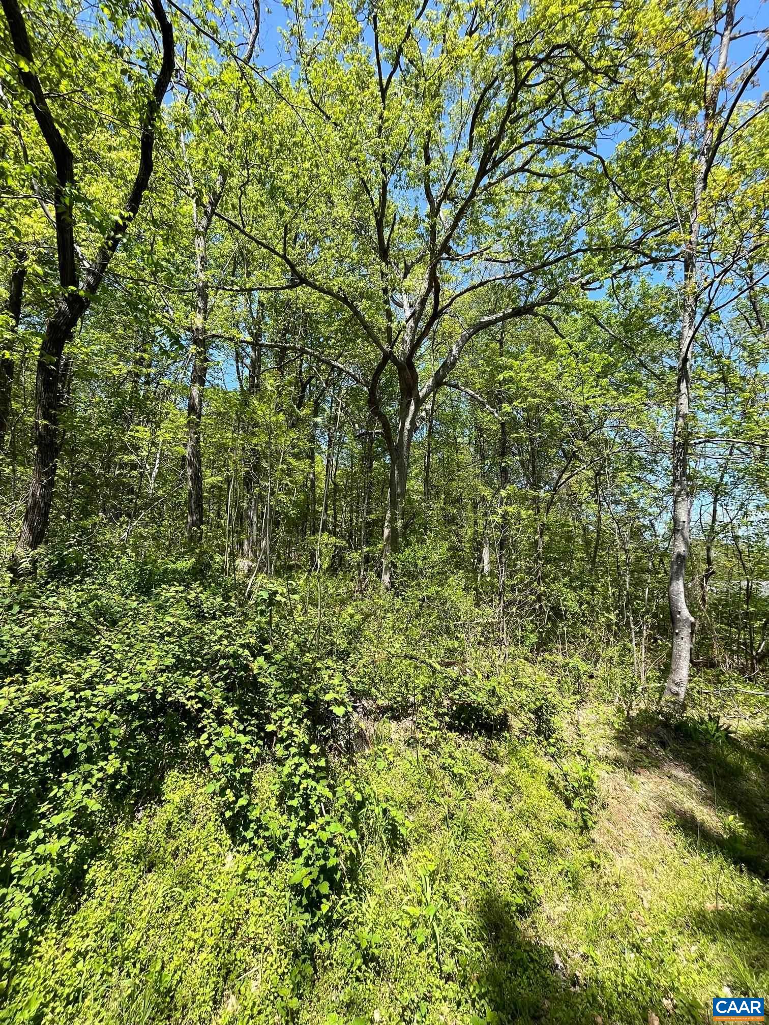 477 FOOTHILLS DR Unit: 4