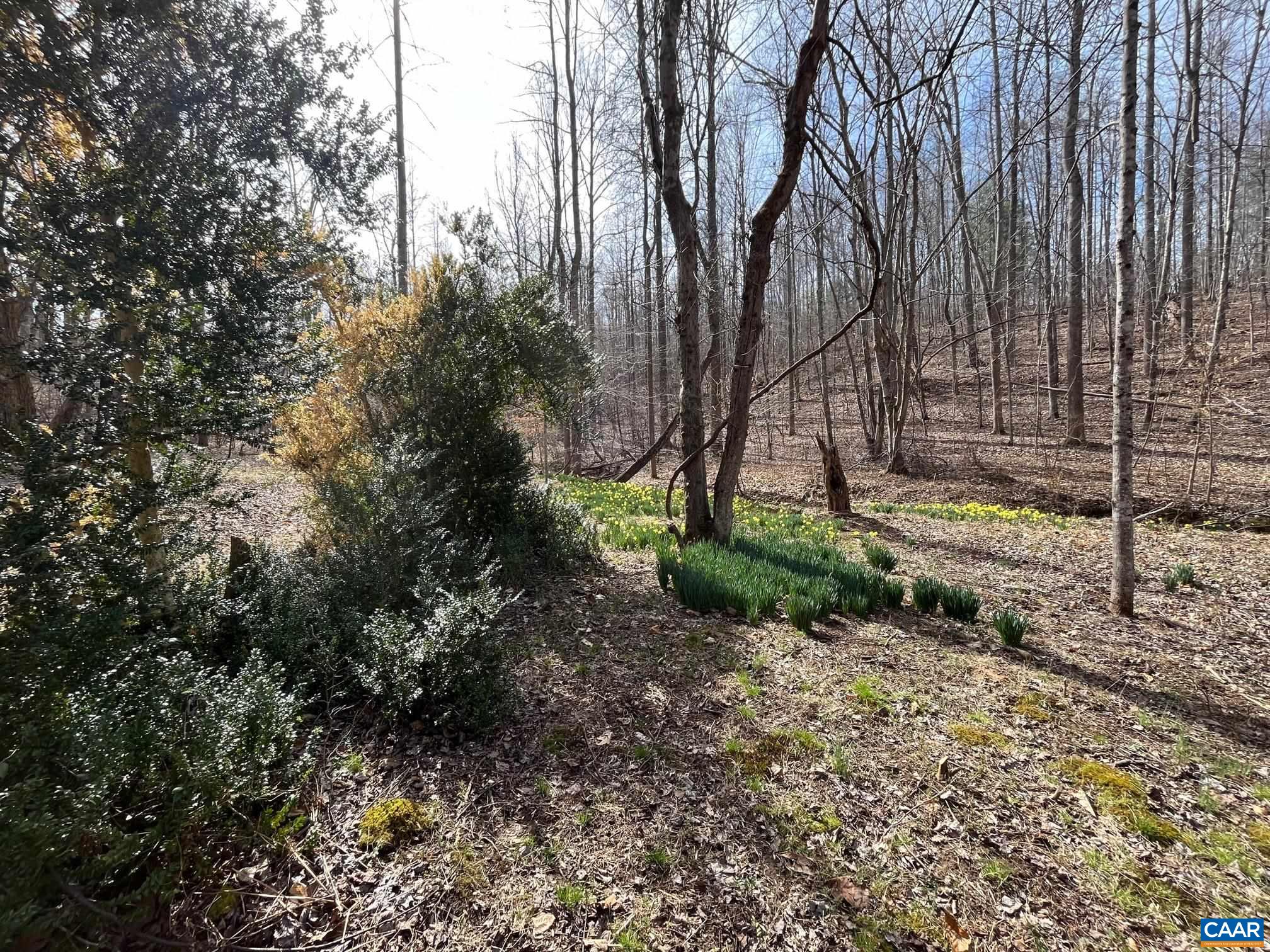 2330 OLD ROBERTS MOUNTAIN RD Unit: Portion of Tax Map 35-A-8
