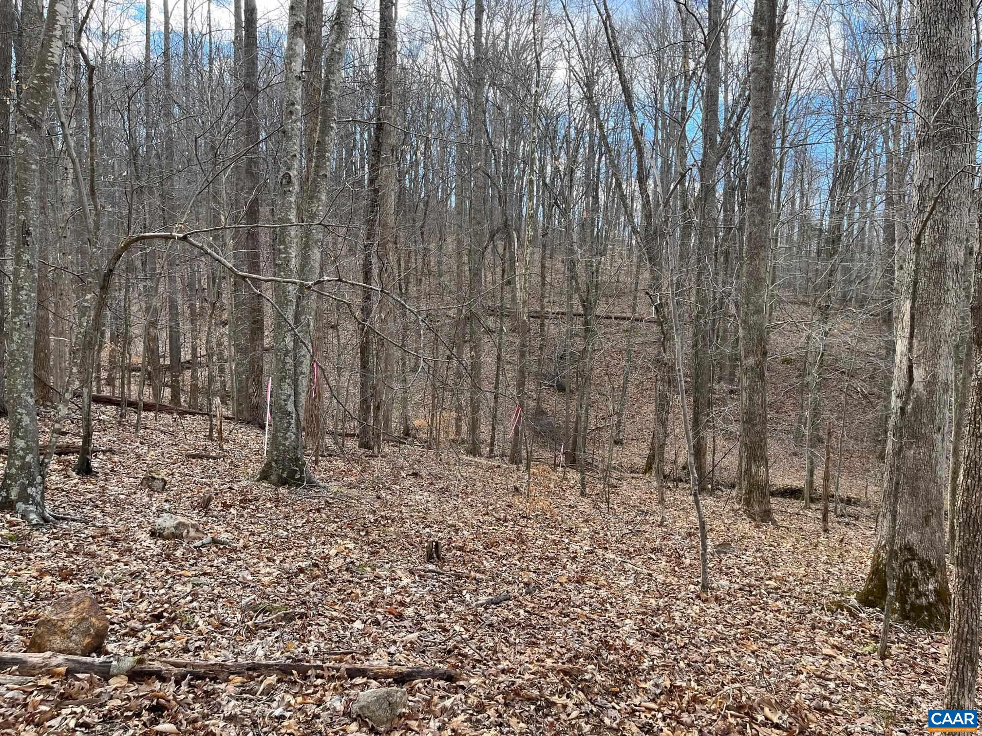 2330 OLD ROBERTS MOUNTAIN RD Unit: Portion of Tax Map 35-A-8
