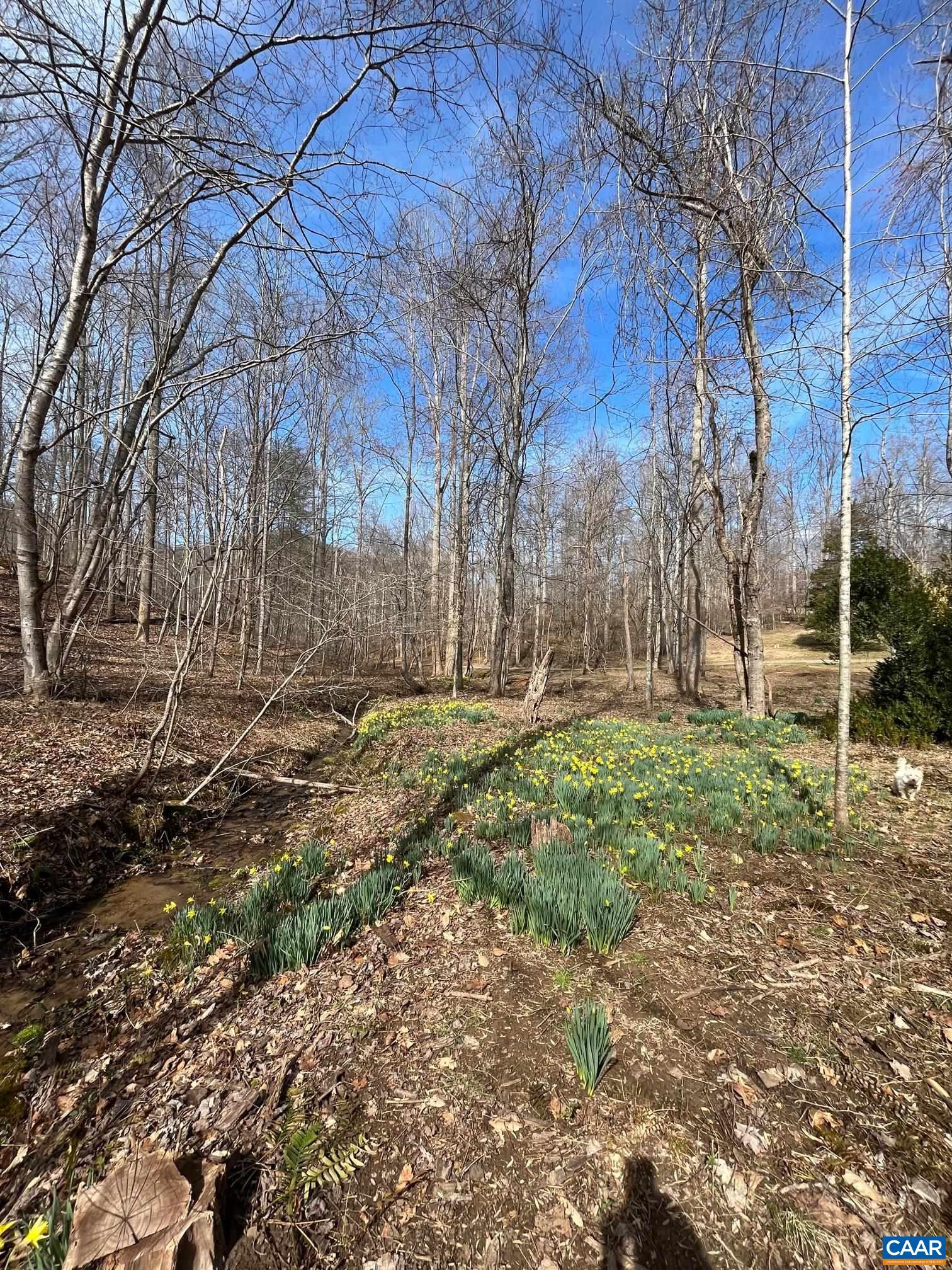 2330 OLD ROBERTS MOUNTAIN RD Unit: Portion of Tax Map 35-A-8