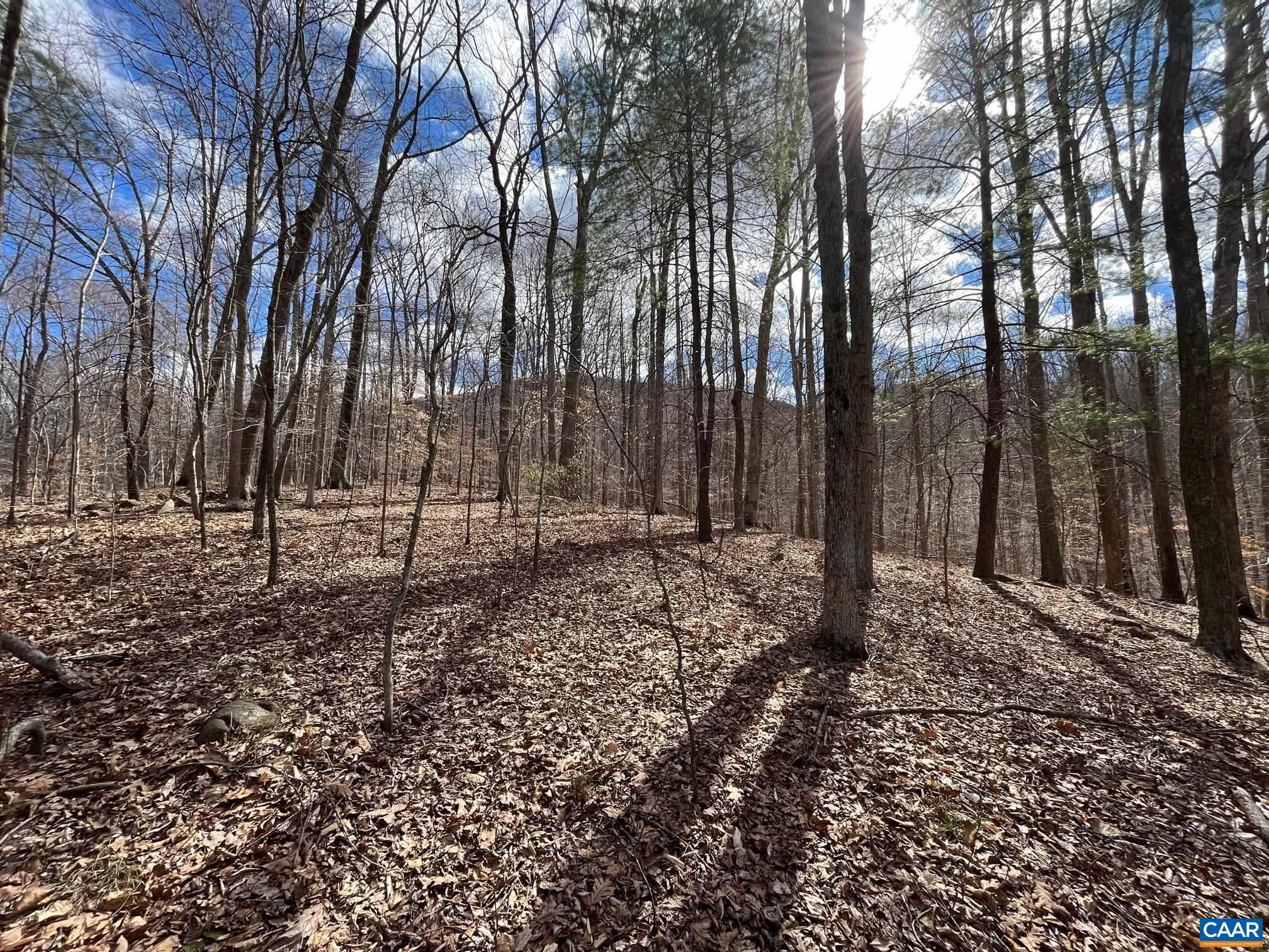 2330 OLD ROBERTS MOUNTAIN RD Unit: Portion of Tax Map 35-A-8