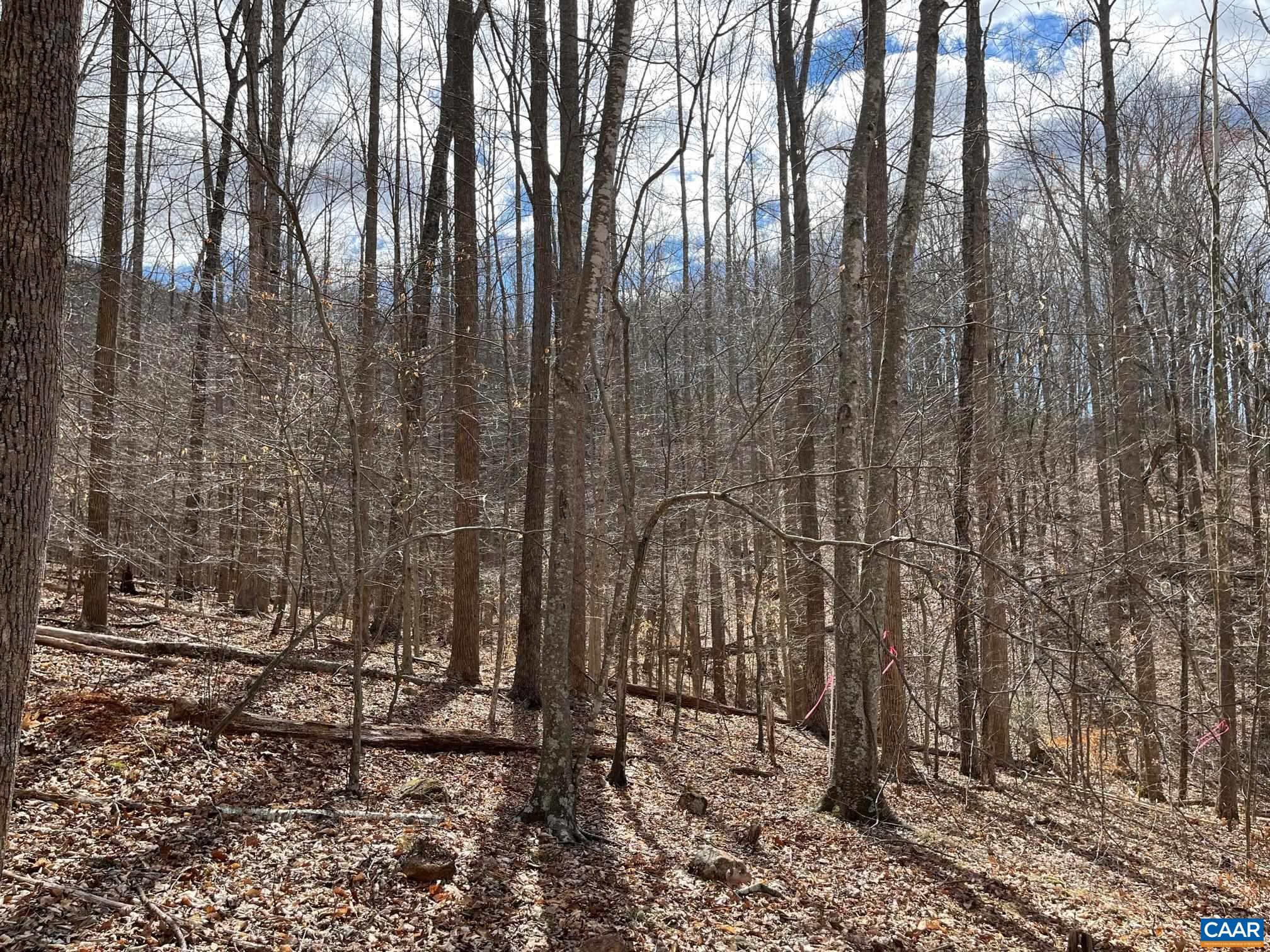2330 OLD ROBERTS MOUNTAIN RD Unit: Portion of Tax Map 35-A-8