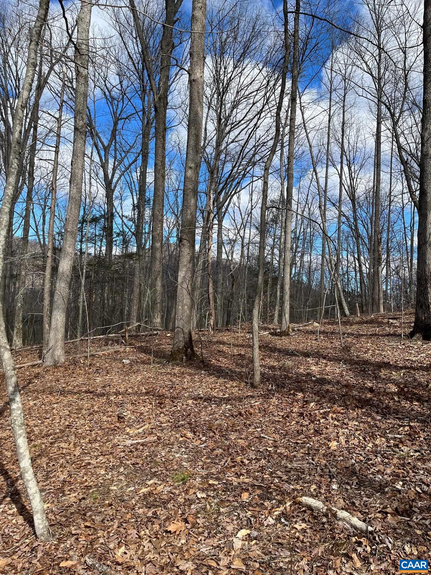 2330 OLD ROBERTS MOUNTAIN RD Unit: Portion of Tax Map 35-A-8