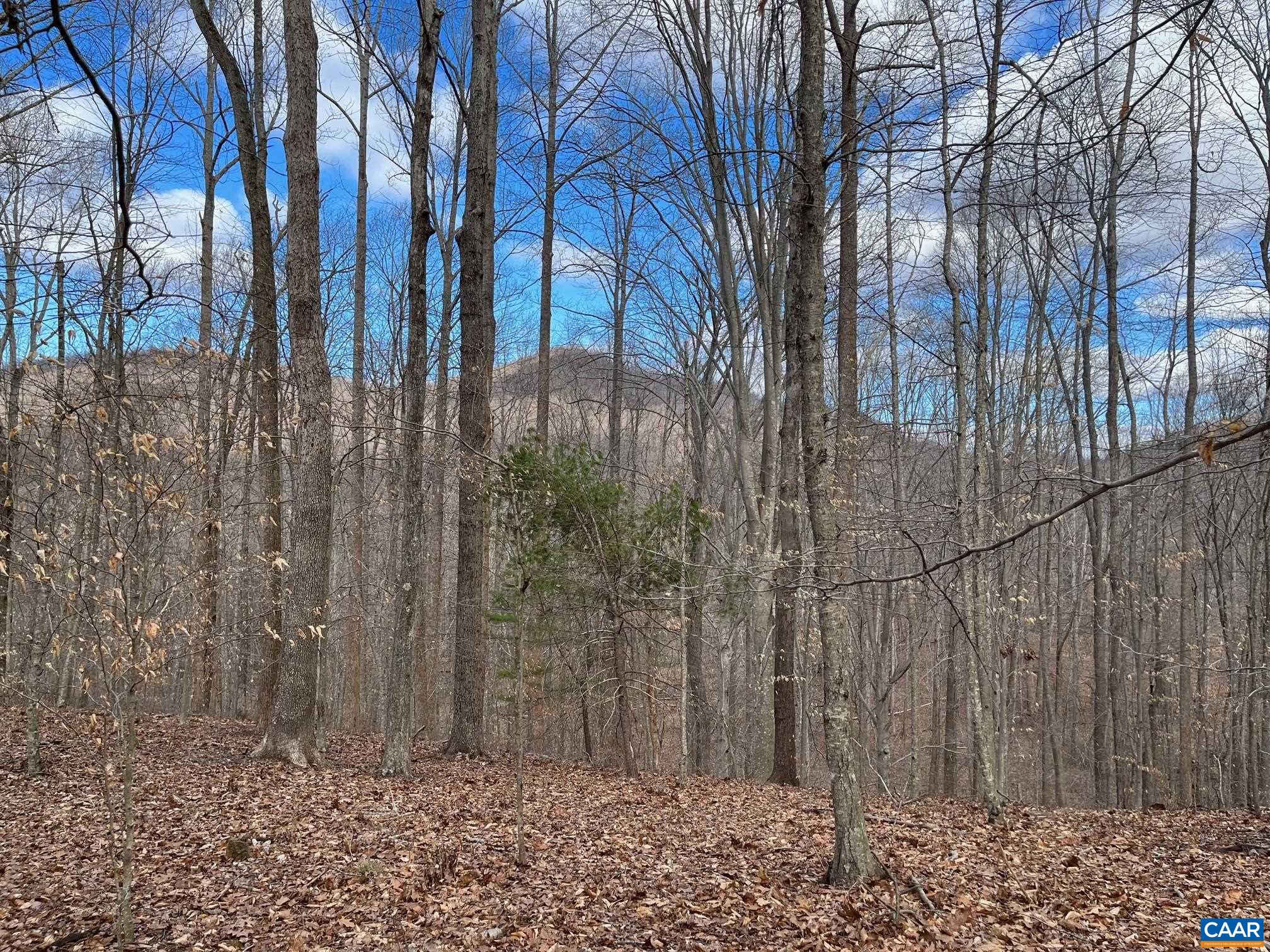 2330 OLD ROBERTS MOUNTAIN RD Unit: Portion of Tax Map 35-A-8