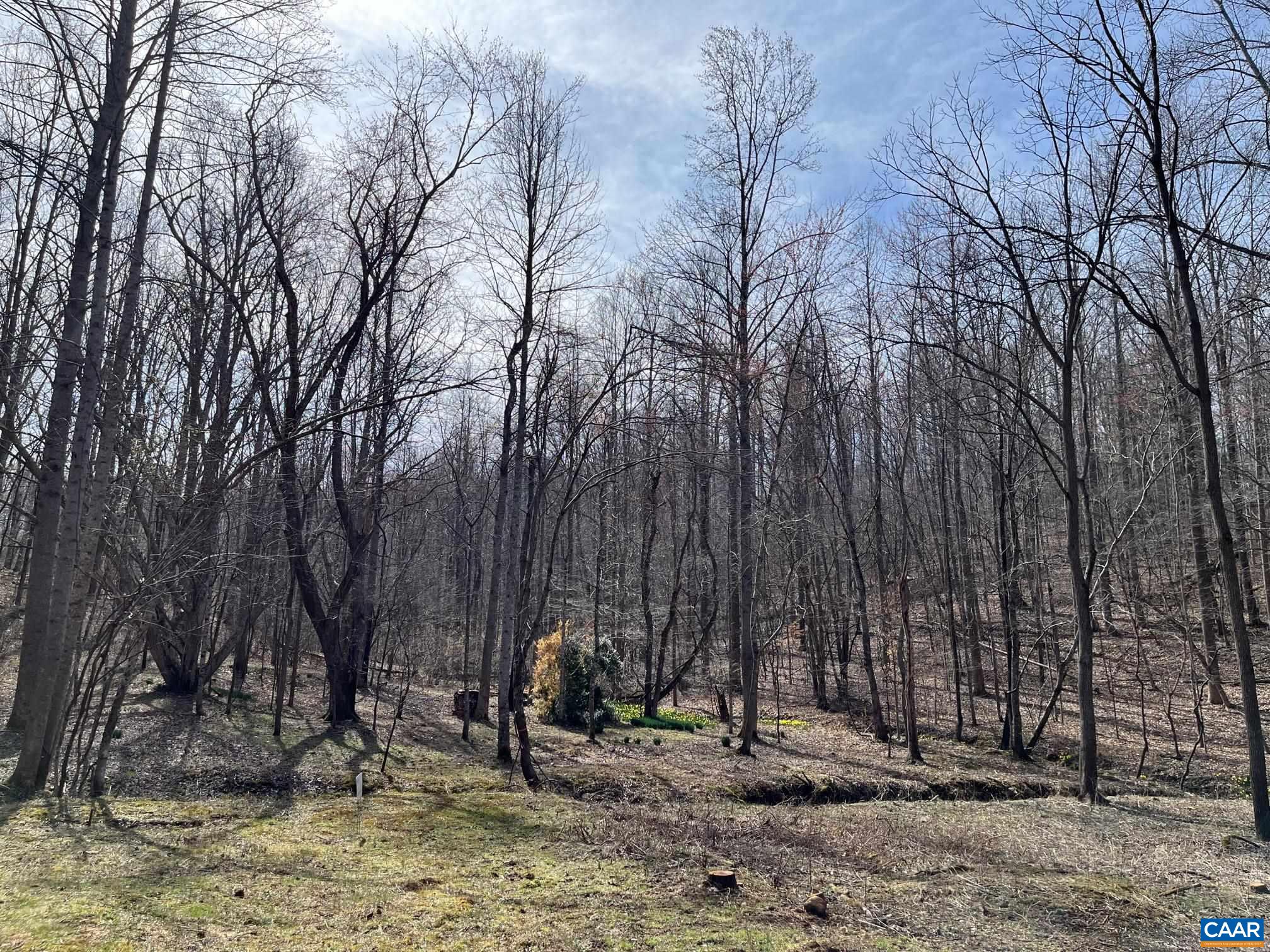 2330 OLD ROBERTS MOUNTAIN RD Unit: Portion of Tax Map 35-A-8