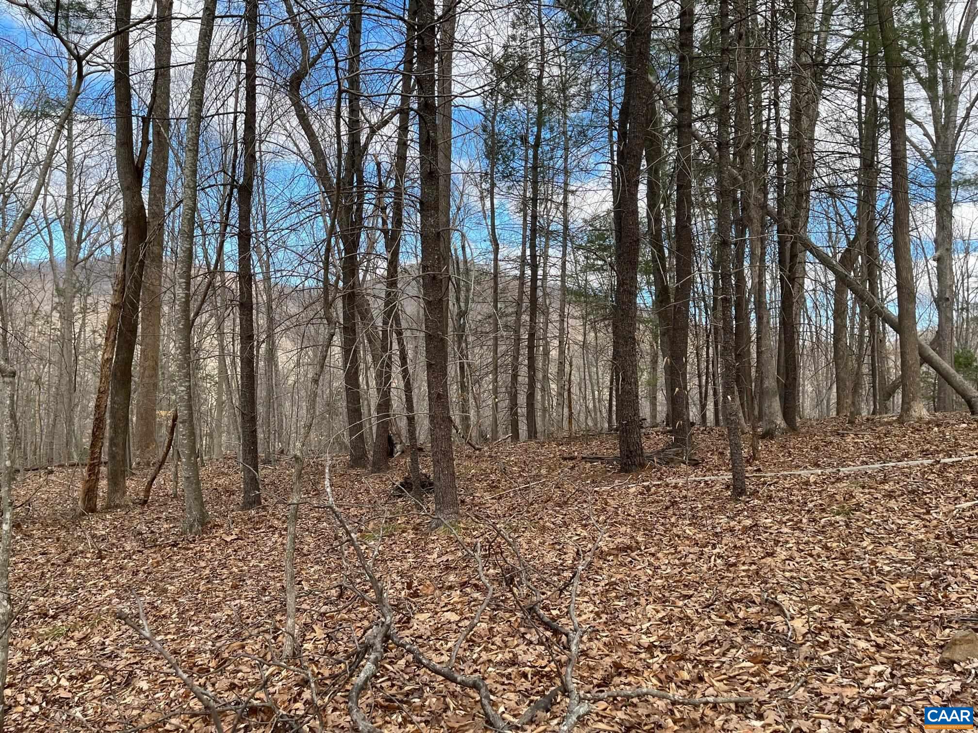 2330 OLD ROBERTS MOUNTAIN RD Unit: Portion of Tax Map 35-A-8