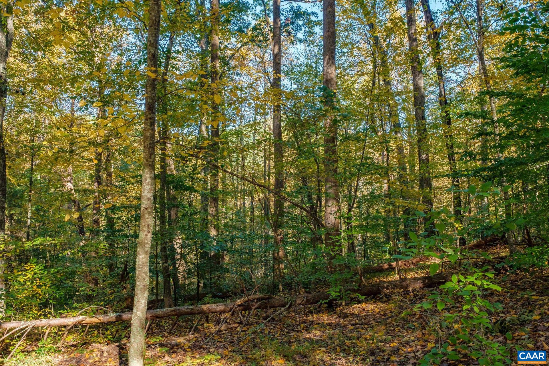 2330 OLD ROBERTS MOUNTAIN RD Unit: Portion of Tax Map 35-A-8