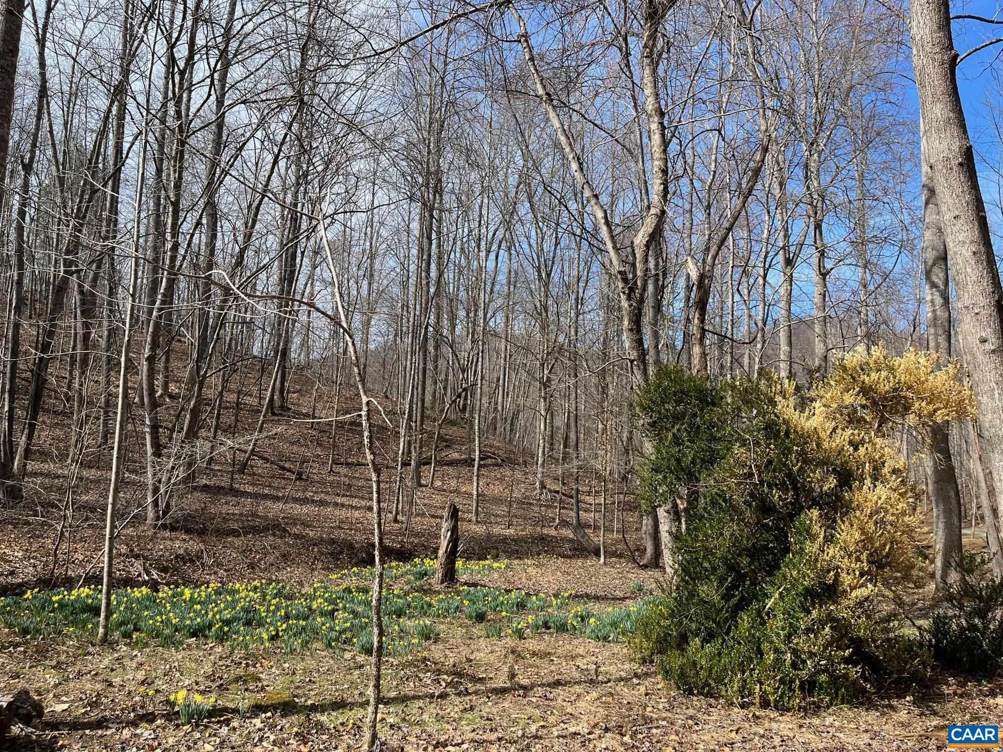 2330 OLD ROBERTS MOUNTAIN RD Unit: Portion of Tax Map 35-A-8