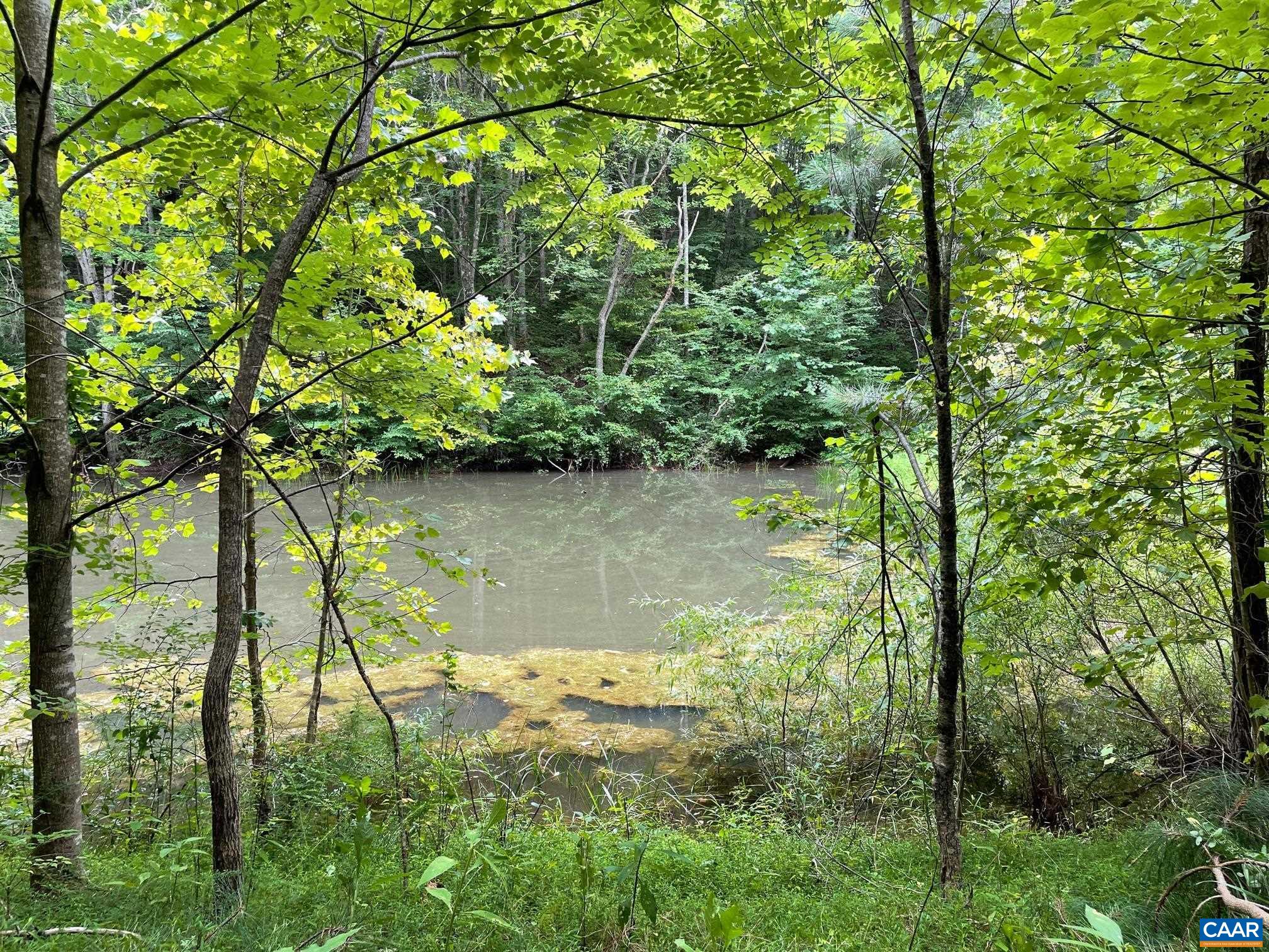 STARVALE LN
